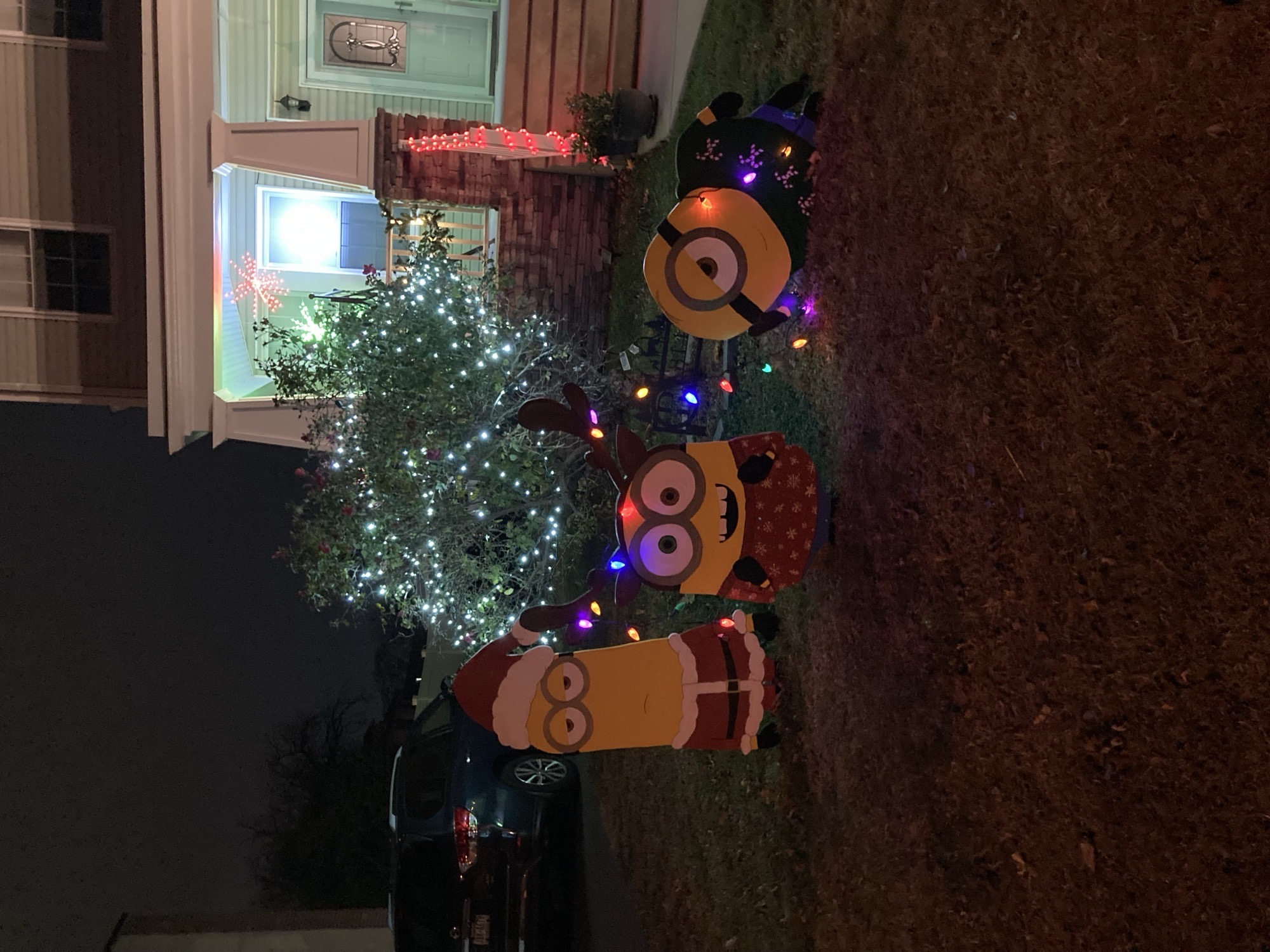 Christmas Cut Outs, Christmas lights in Prospect Park, PA (photo 1)