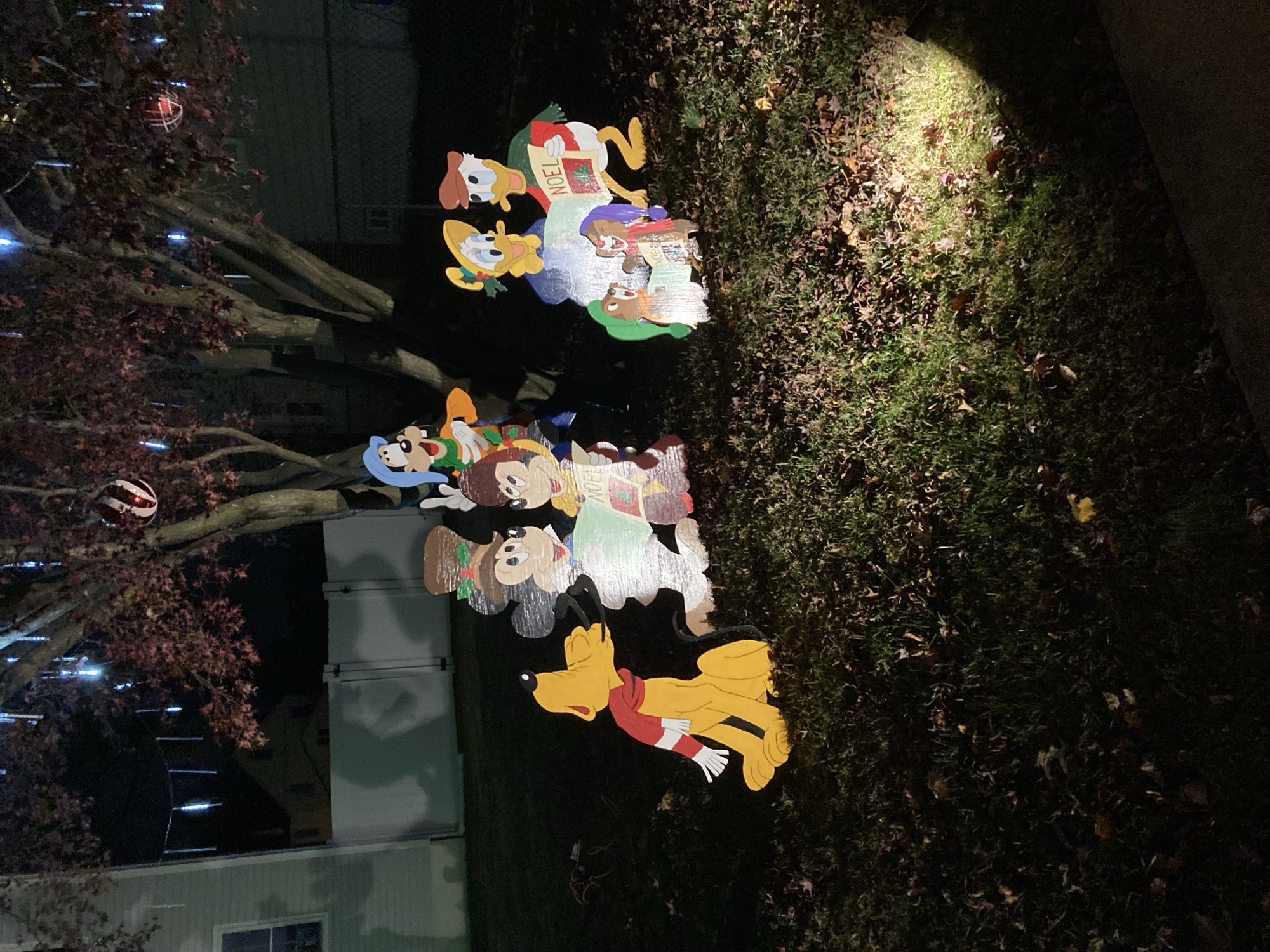 Christmas Cut Outs, Christmas lights in Prospect Park, PA (photo 2)