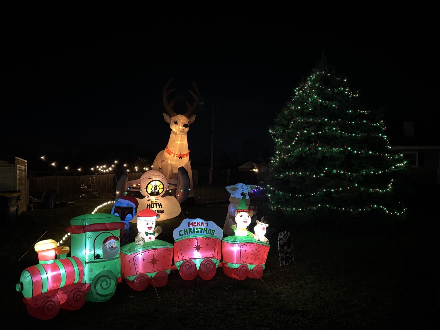 A Very Chewie Christmas, Christmas lights in York, PA (photo 4)