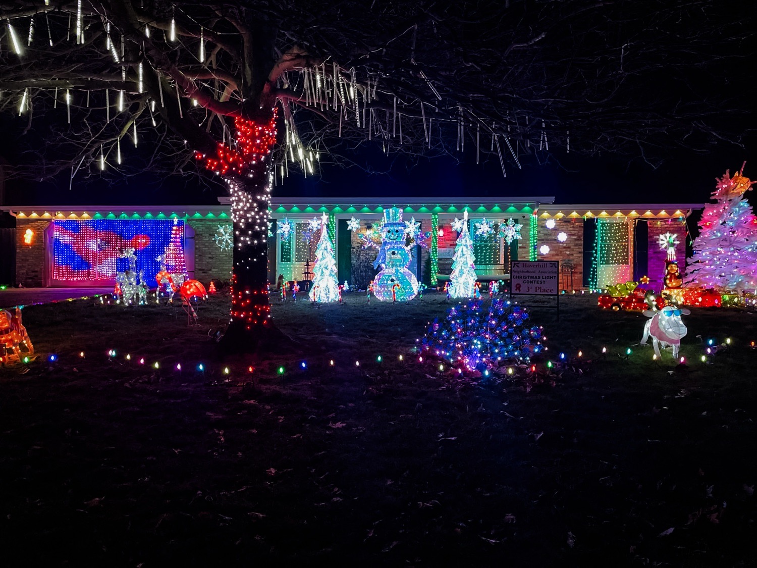 Merry & Bright!, Christmas lights in Fort Wayne, IN (photo 3)
