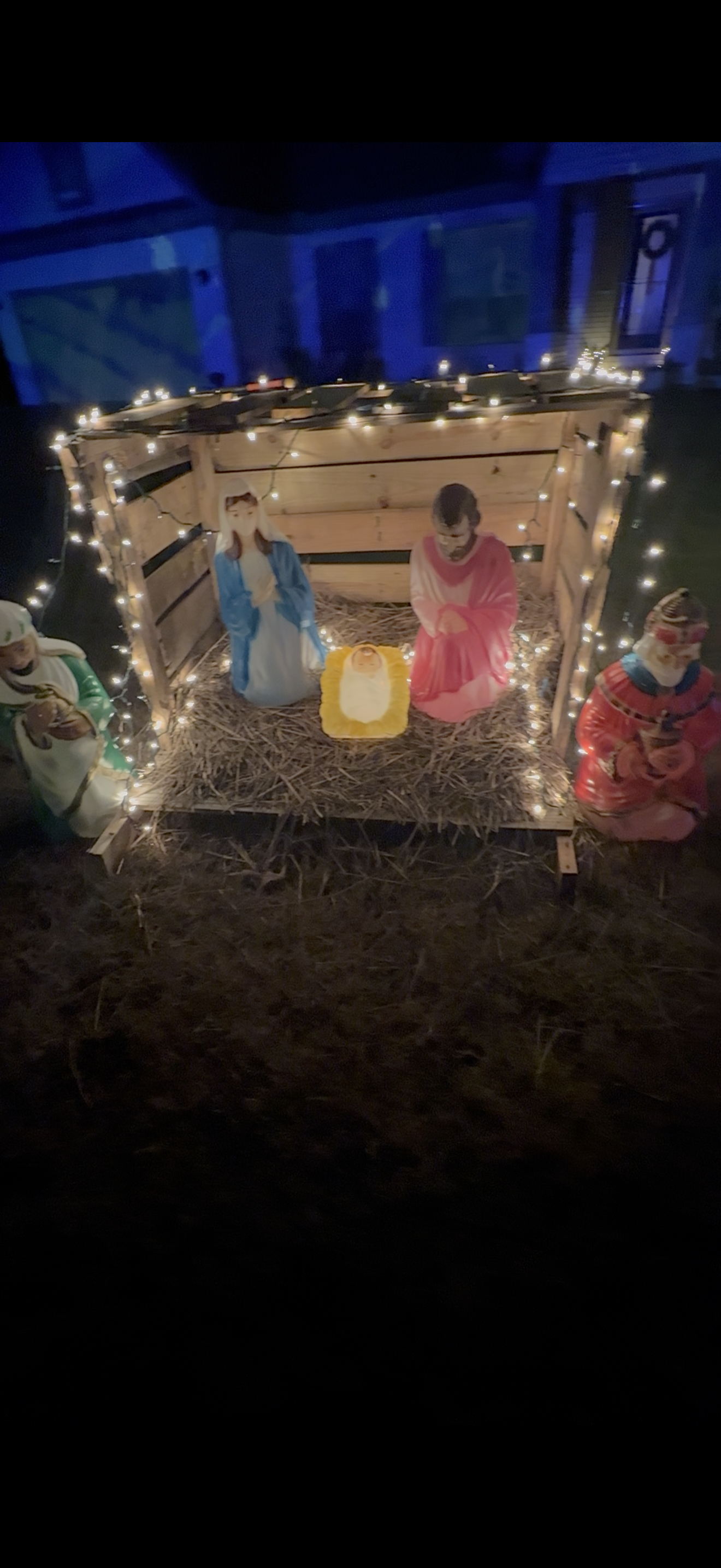 Promise Land Christmas Show, Christmas lights in Little Rock, AR (photo 5)