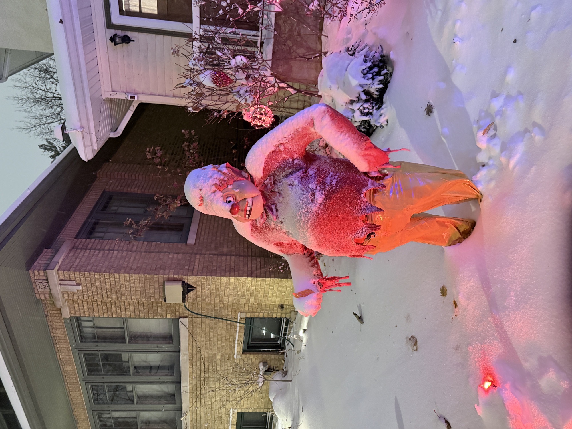 A Miser-ly Christmas, Christmas lights in Chicago, IL (photo 3)