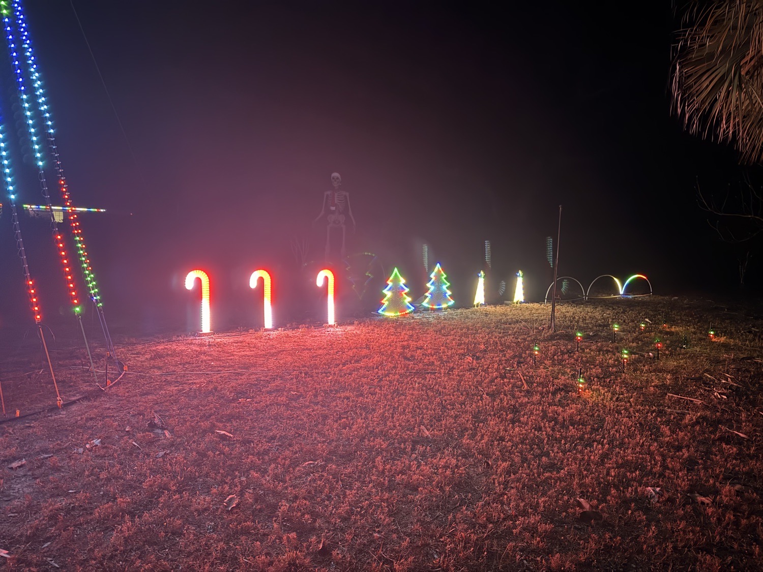 Howell Family’s SHINE Show, Christmas lights in Milton, FL (photo 2)