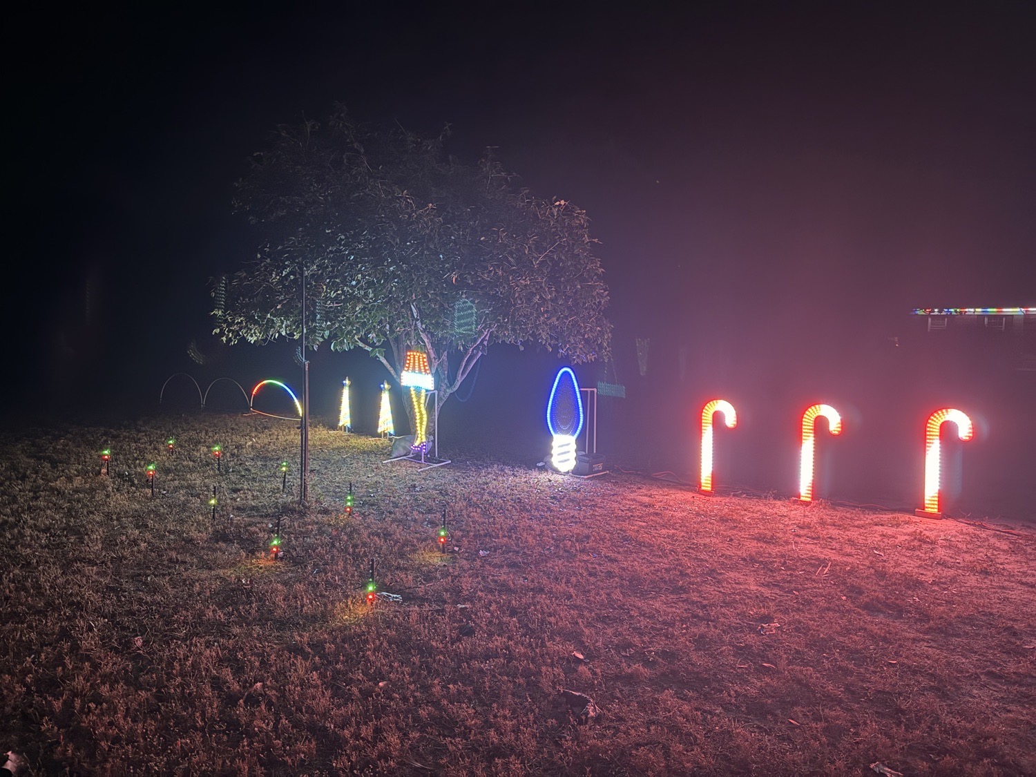 Howell Family’s SHINE Show, Christmas lights in Milton, FL (photo 3)