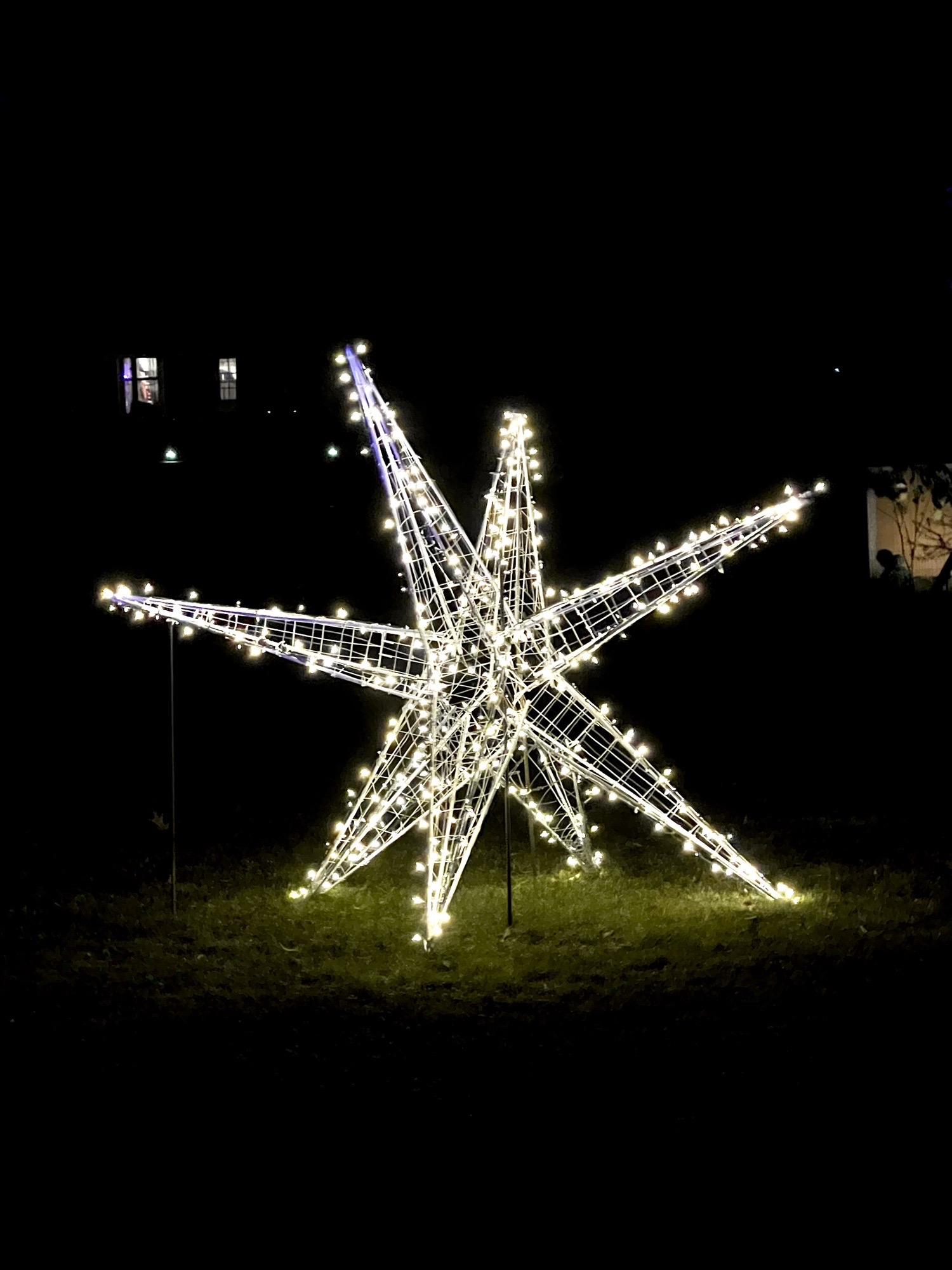 Holidays On Greenwich, Christmas lights in Wyomissing, PA (photo 2)