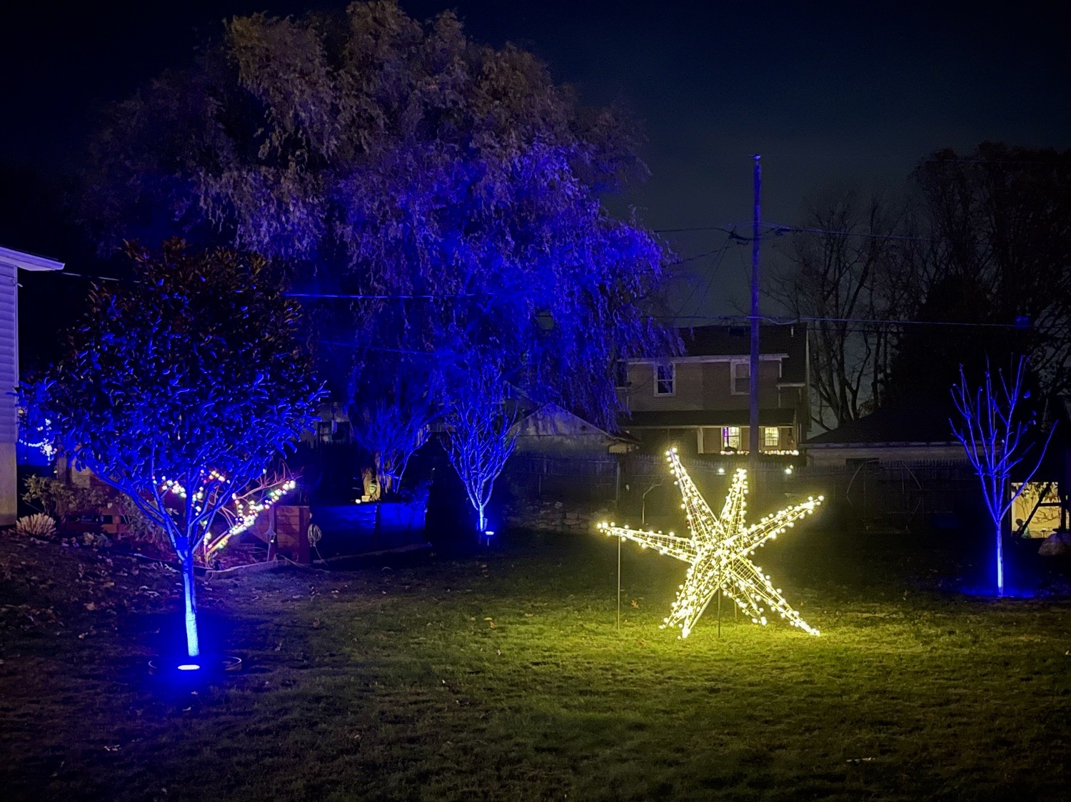 Holidays On Greenwich, Christmas lights in Wyomissing, PA (photo 4)