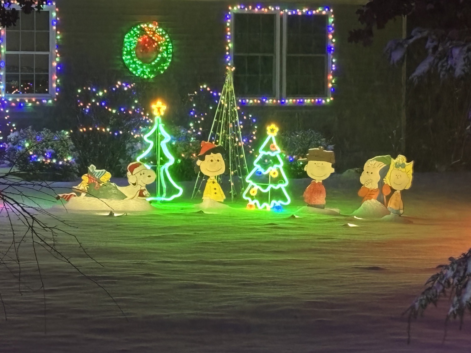 Roy Family Lights, Christmas lights in Alfred, ME (photo 1)