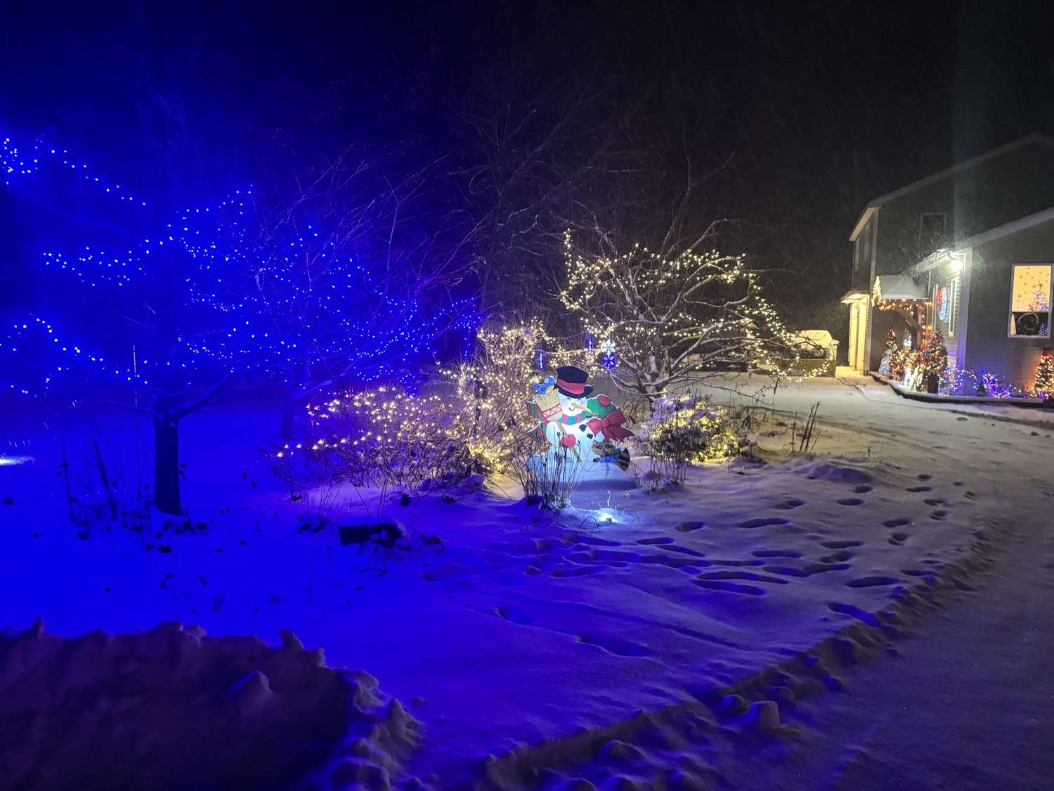 Roy Family Lights, Christmas lights in Alfred, ME (photo 2)