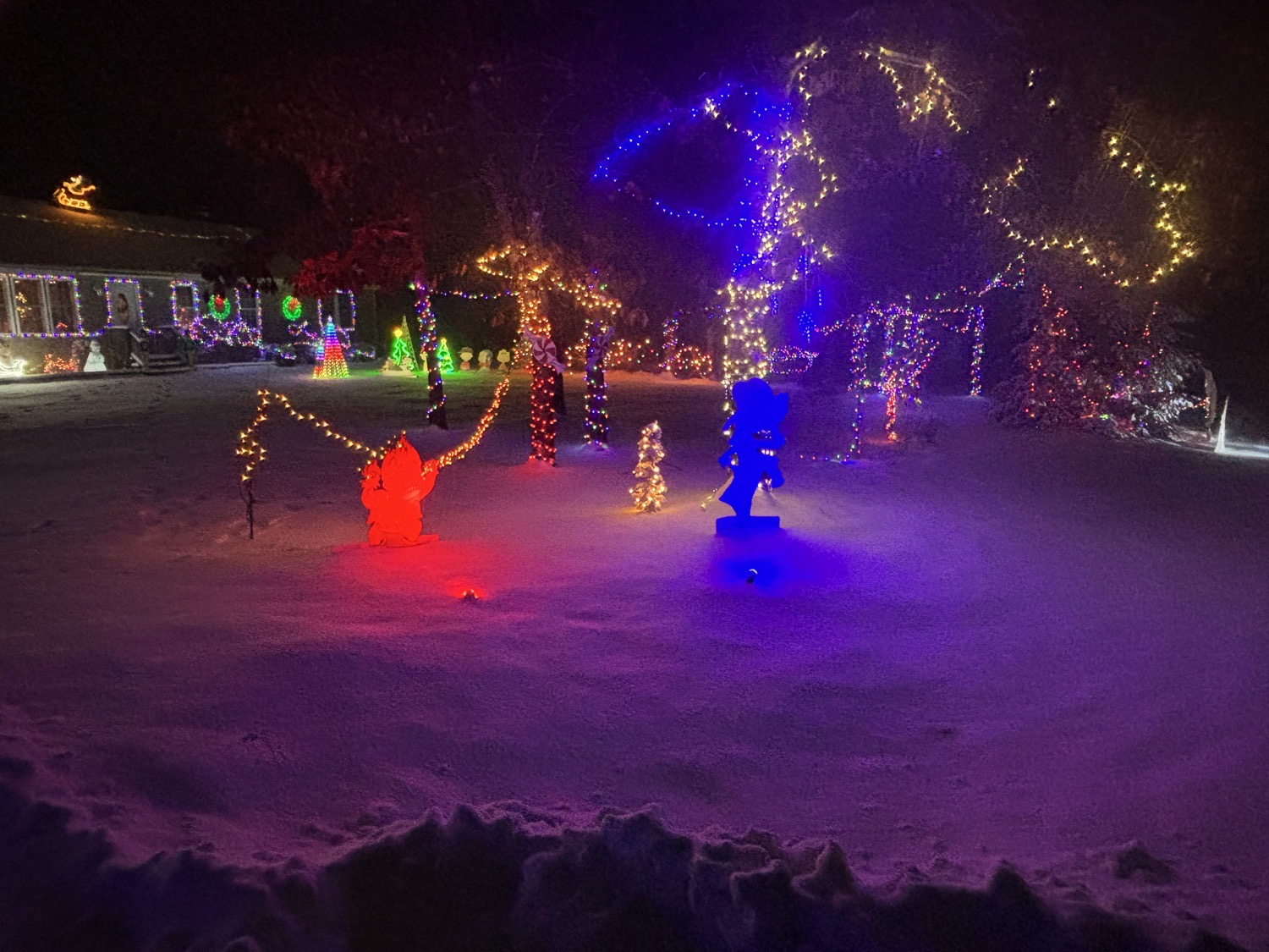 Roy Family Lights, Christmas lights in Alfred, ME (photo 3)