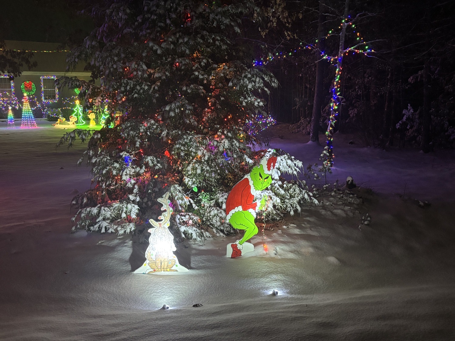 Roy Family Lights, Christmas lights in Alfred, ME (photo 4)