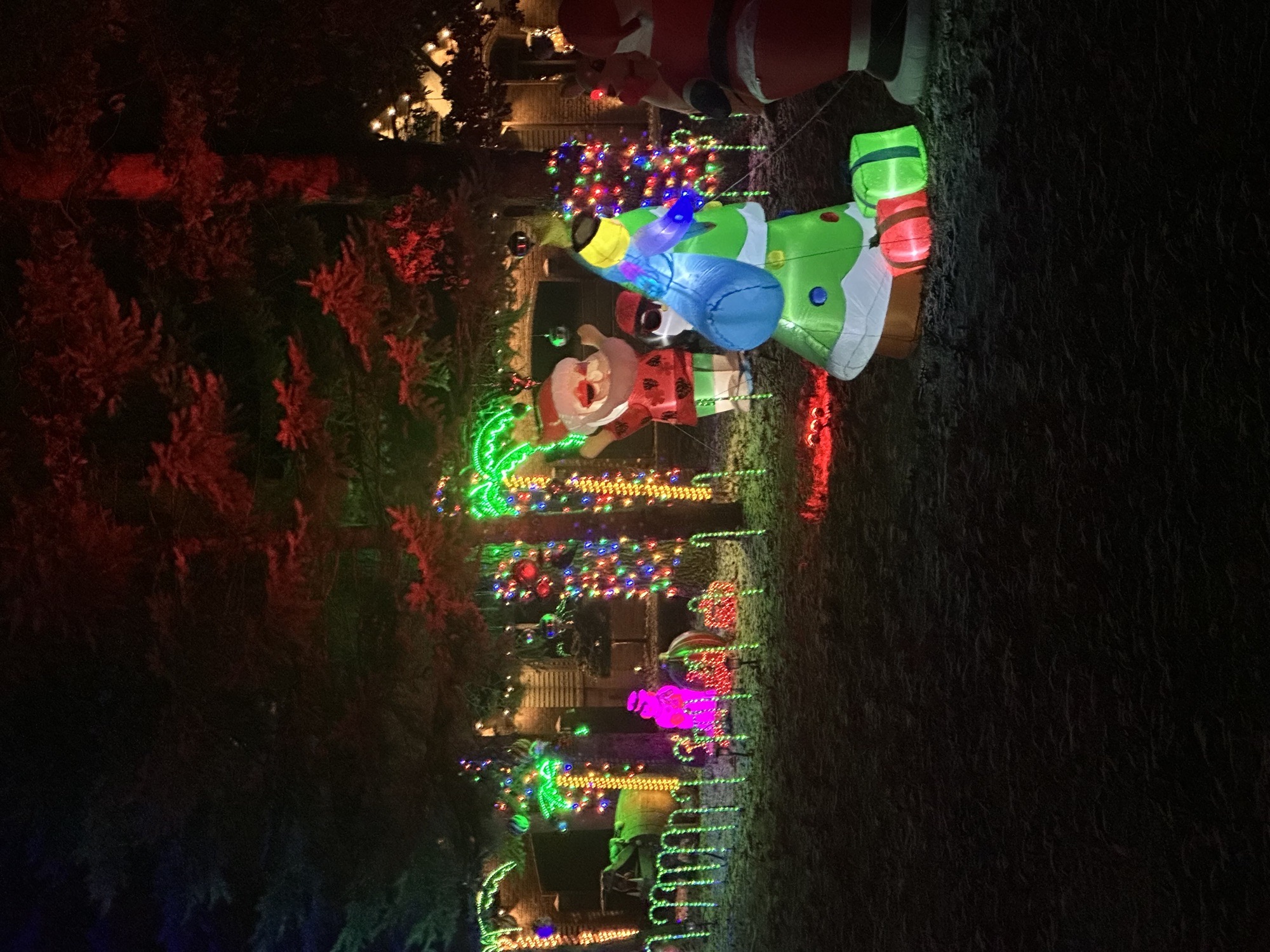 Holiday Inflatable Craziness, Christmas lights in Houghton Lake, MI (photo 1)