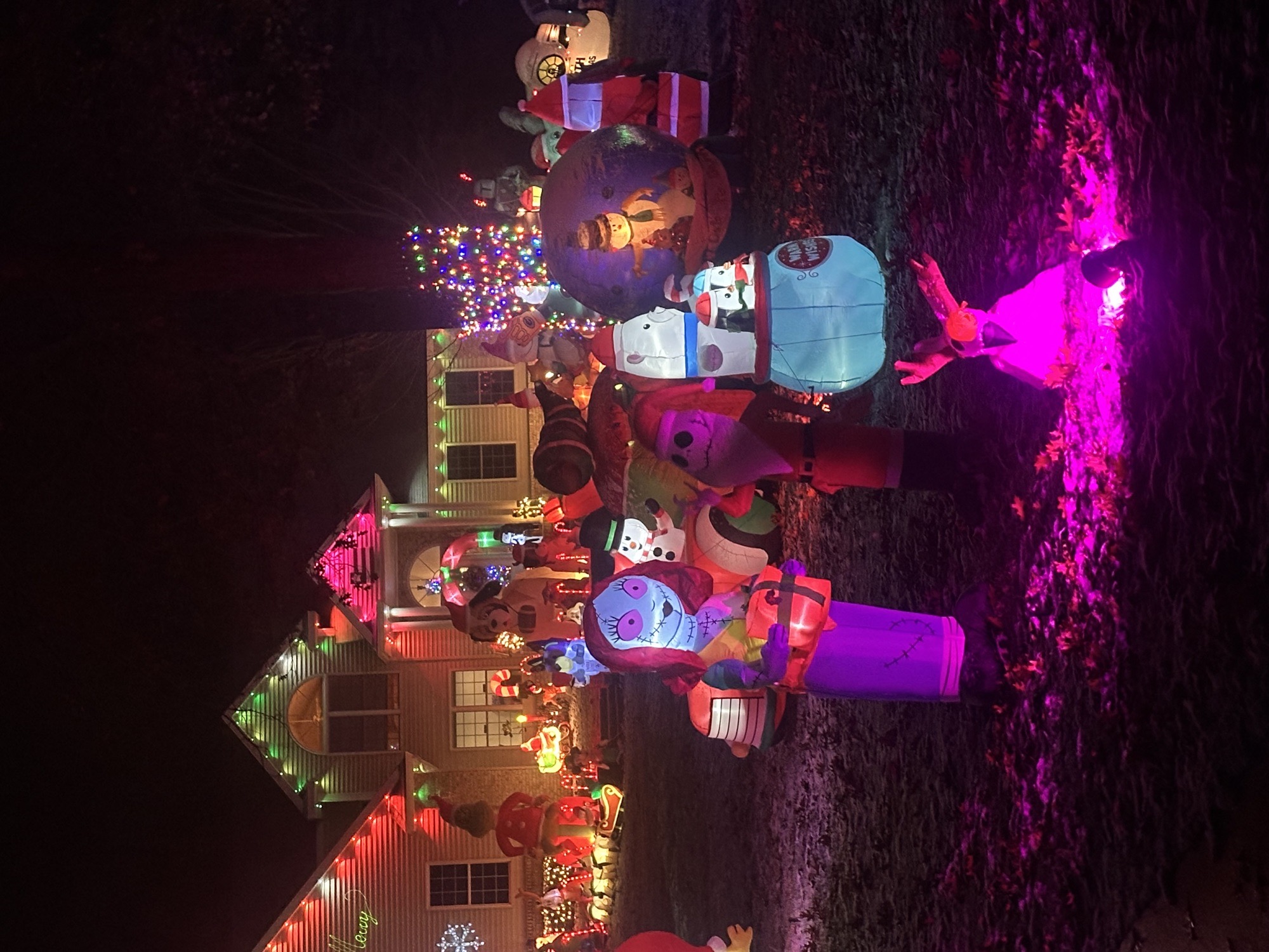 Holiday Inflatable Craziness, Christmas lights in Houghton Lake, MI (photo 4)
