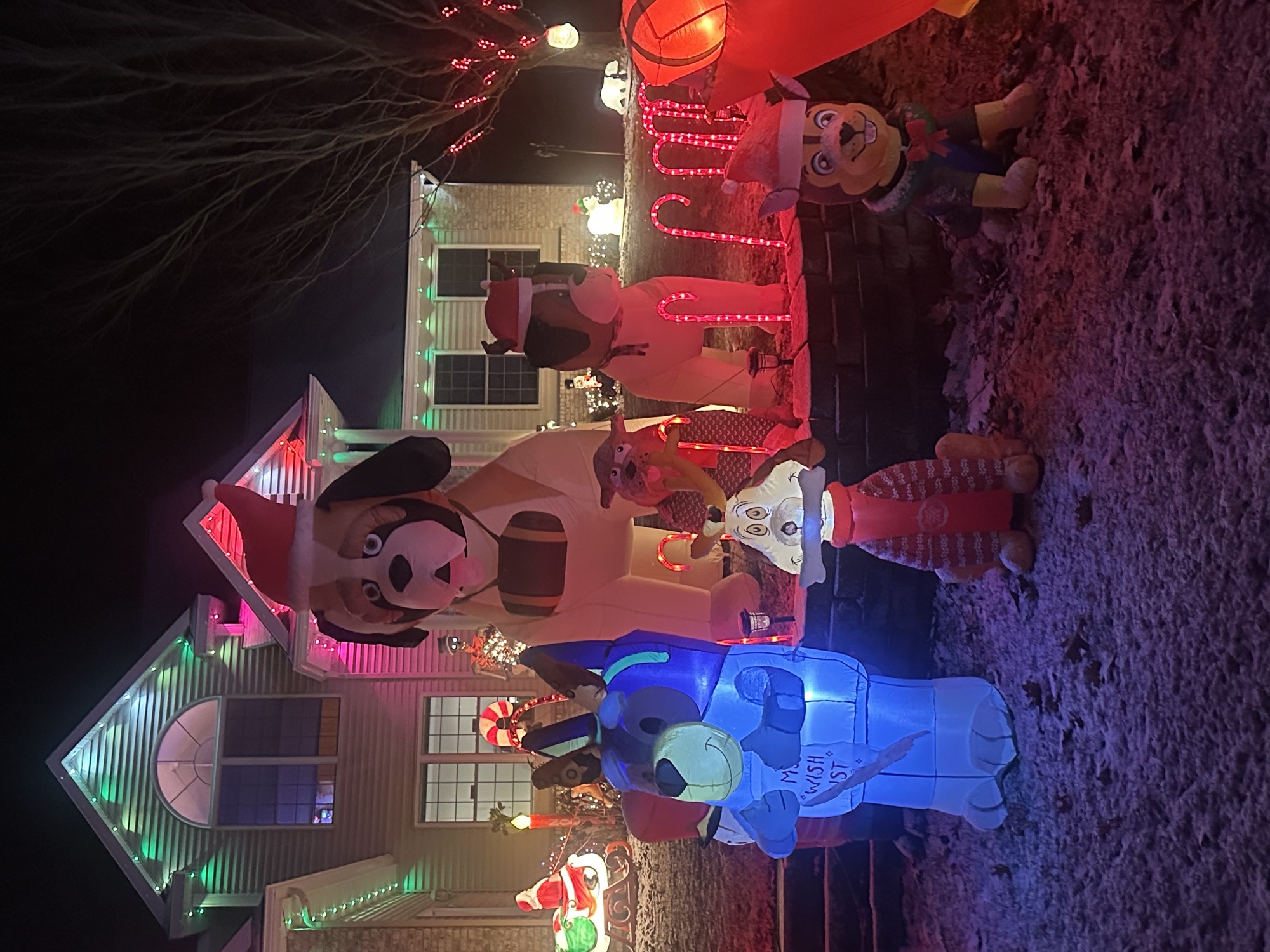 Holiday Inflatable Craziness, Christmas lights in Houghton Lake, MI (photo 5)