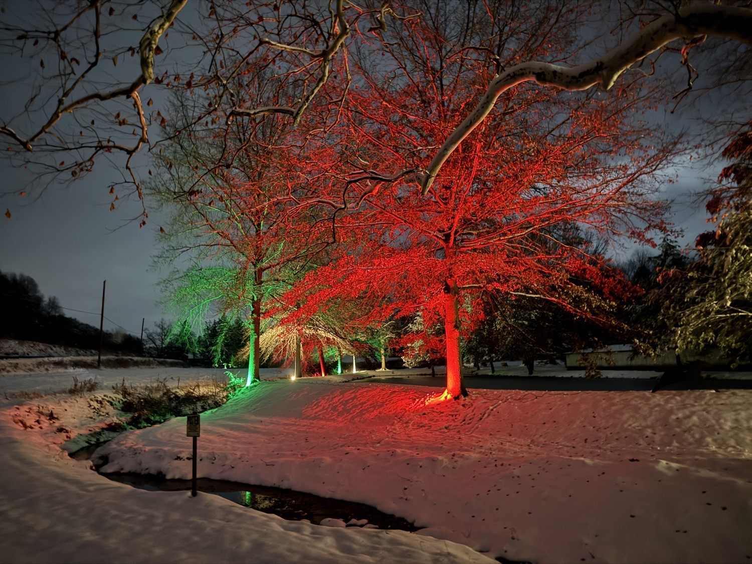 Classic Christmas, Christmas lights in Sunbury, PA (photo 4)