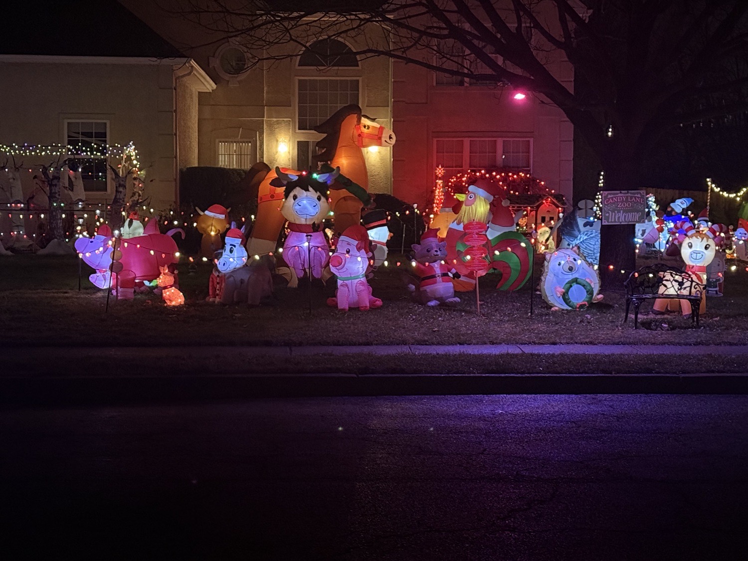 Light Up 394, Christmas lights in Yardley, PA (photo 1)