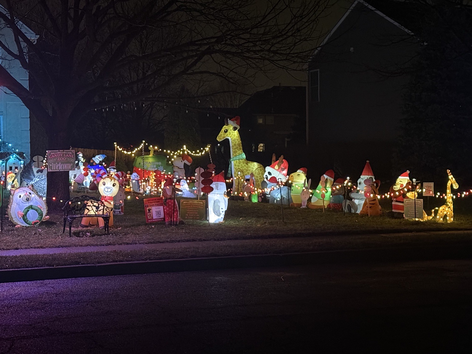 Light Up 394, Christmas lights in Yardley, PA (photo 2)