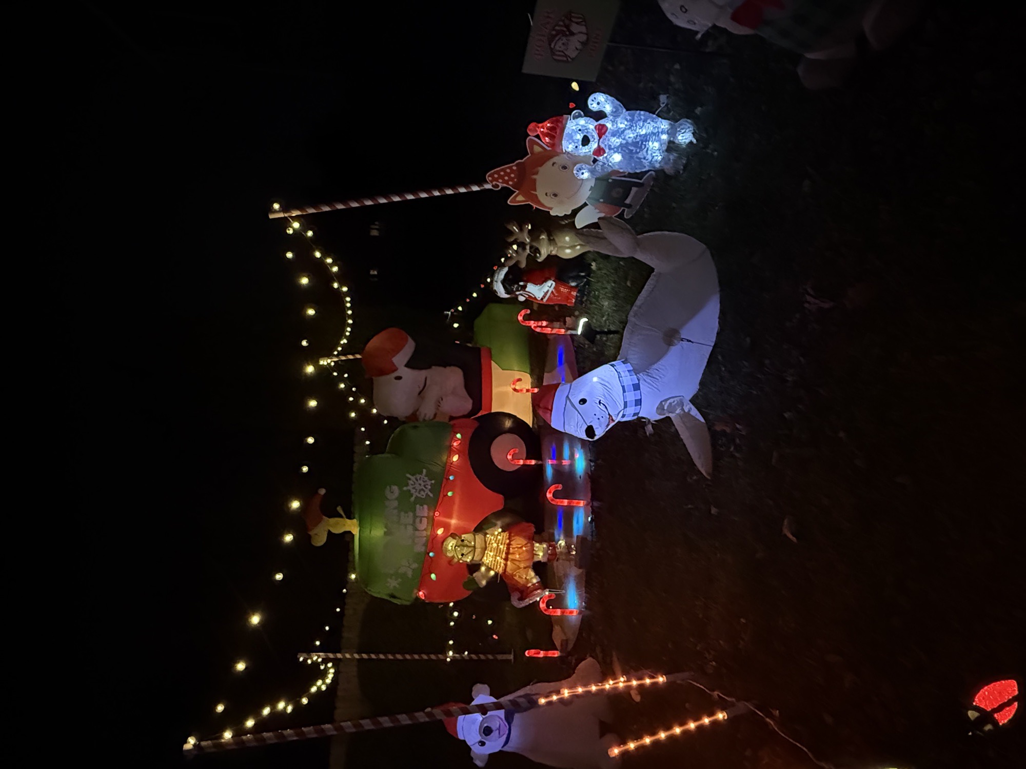 Light Up 394, Christmas lights in Yardley, PA (photo 5)