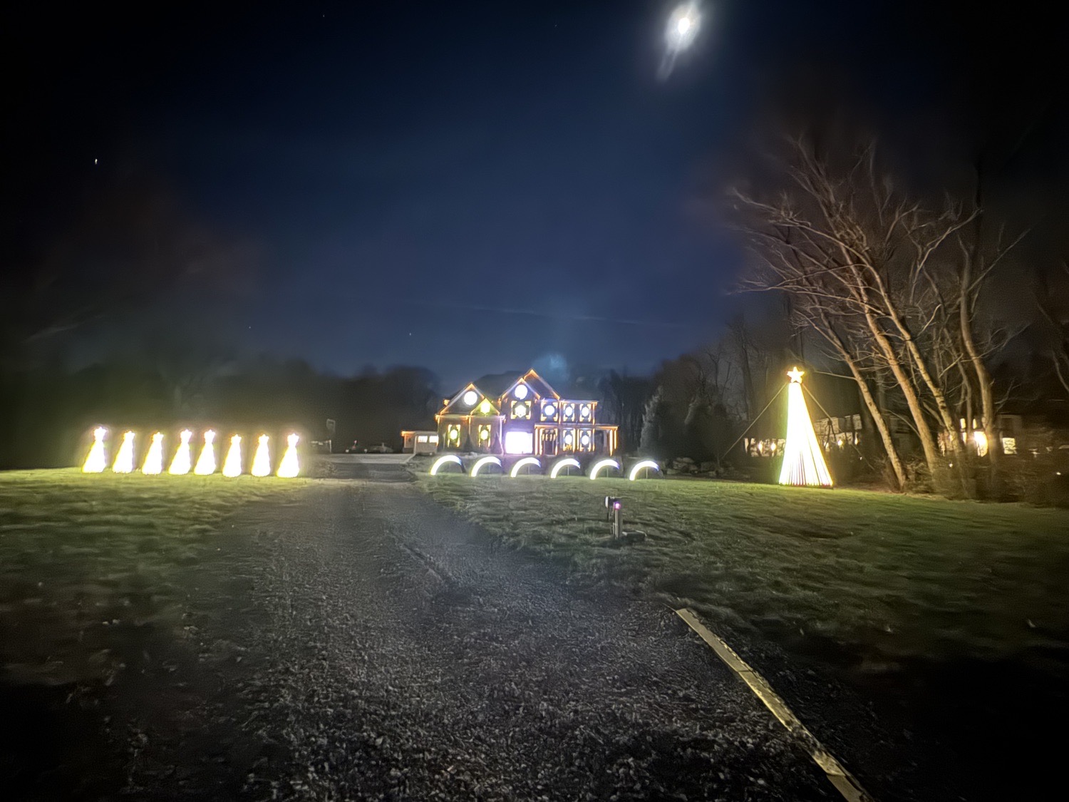 Lights On Vitullo, Christmas lights in Allison Park, PA (photo 3)