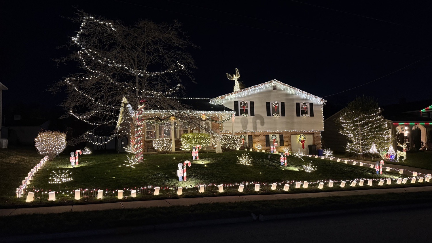 Classic Warm White Display, Christmas lights in Aston, PA (photo 1)