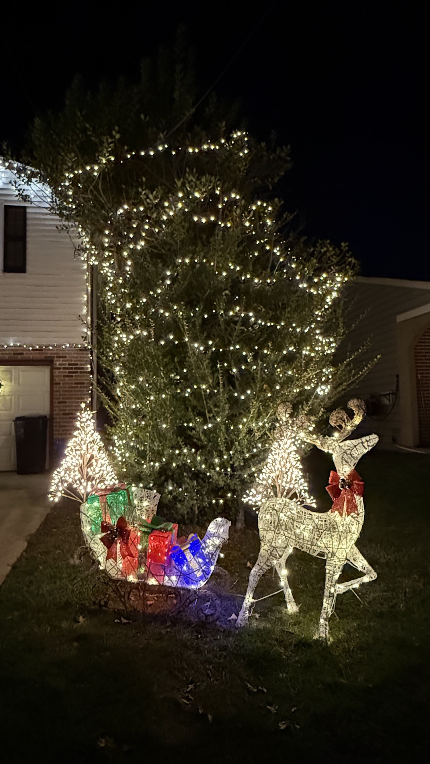 Classic Warm White Display, Christmas lights in Aston, PA (photo 3)
