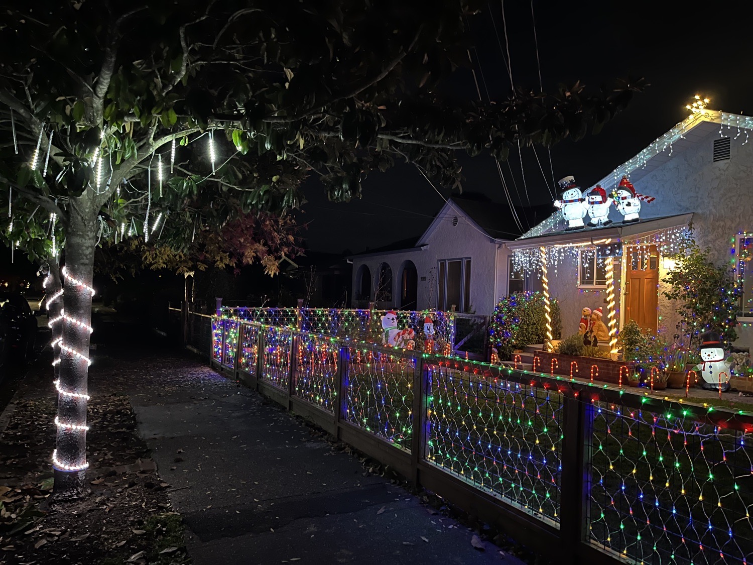Christmas Mac Shack, Christmas lights in Santa Rosa, CA (photo 3)