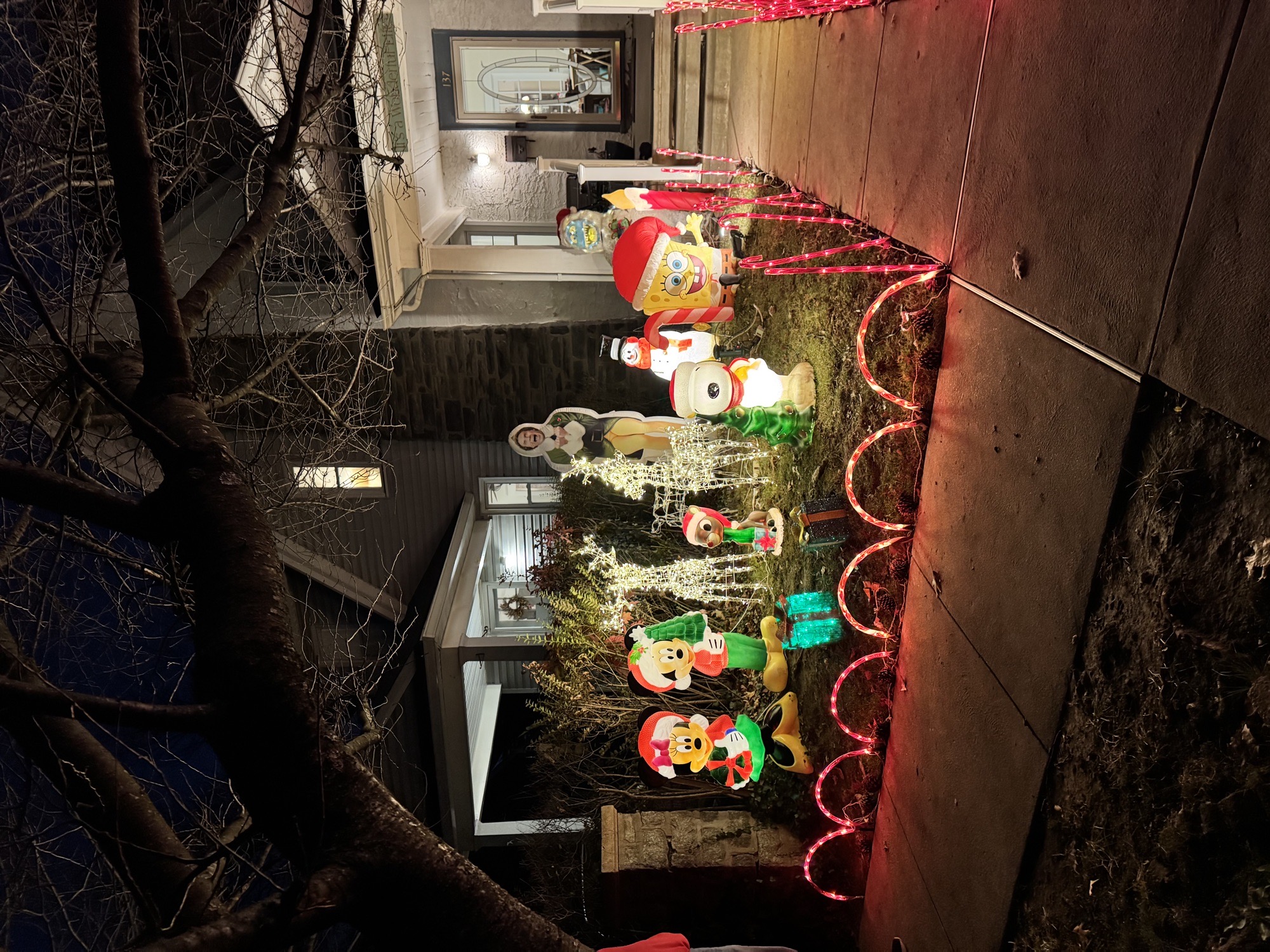 Turnbull, Christmas lights in Philadelphia, PA (photo 1)