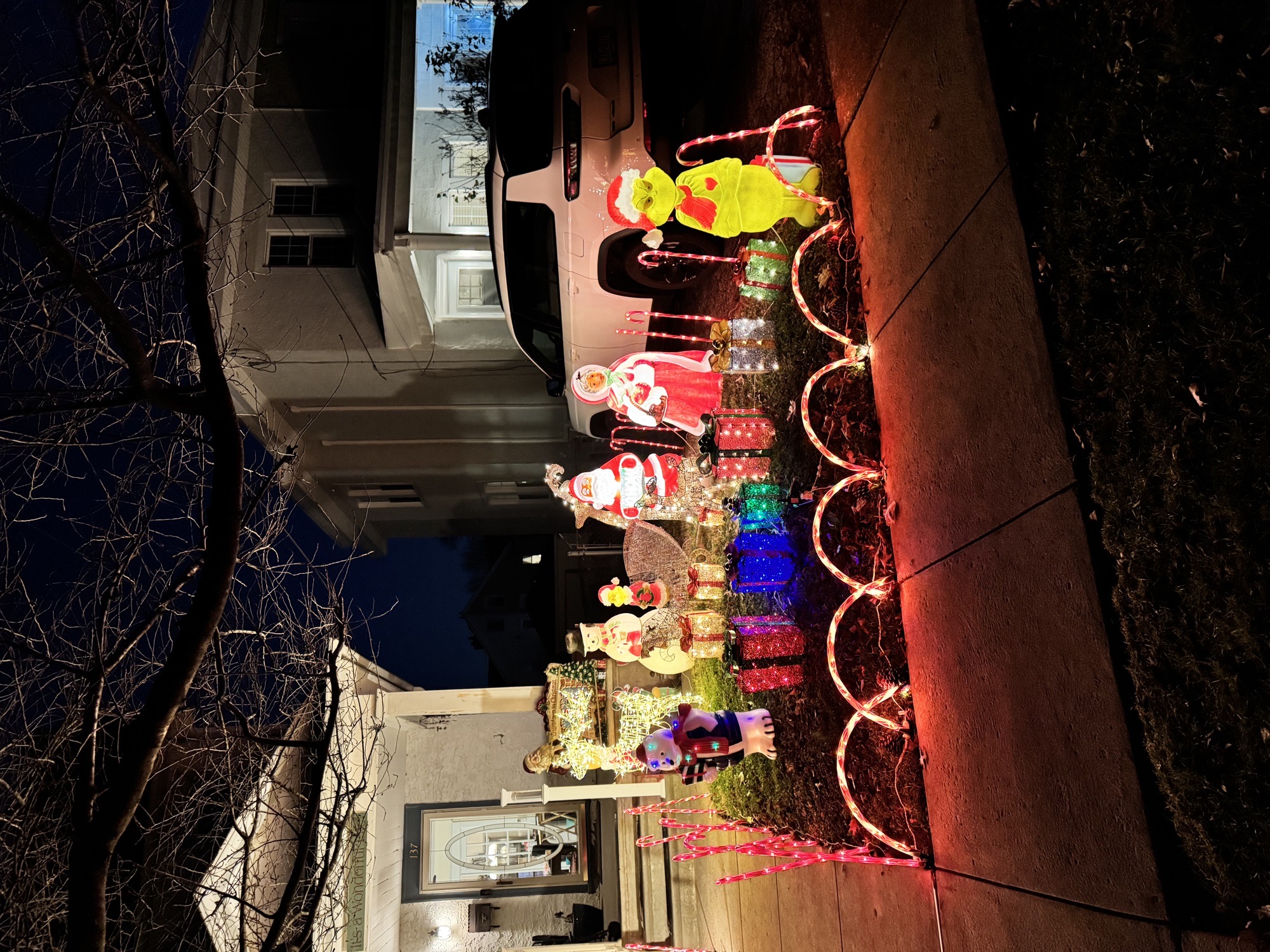 Turnbull, Christmas lights in Philadelphia, PA (photo 2)