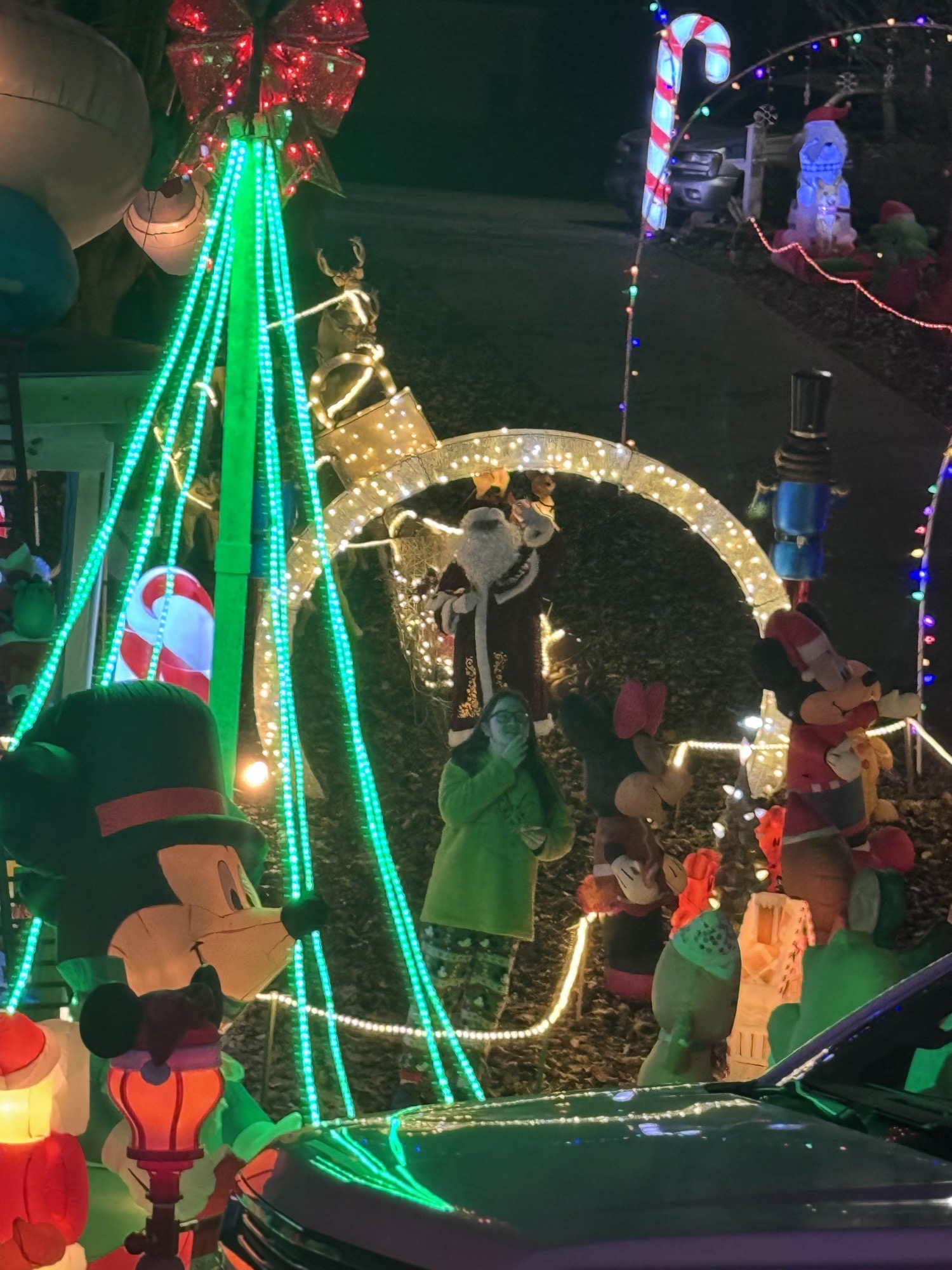 Drummond’s Wacky Walk Thru Christmas Display, Christmas lights in Dallas, GA (photo 1)