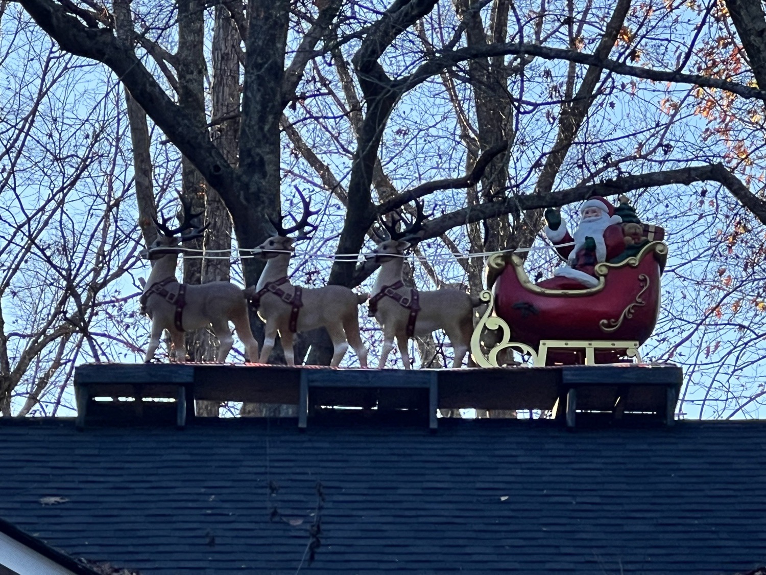 Drummond’s Wacky Walk Thru Christmas Display, Christmas lights in Dallas, GA (photo 2)