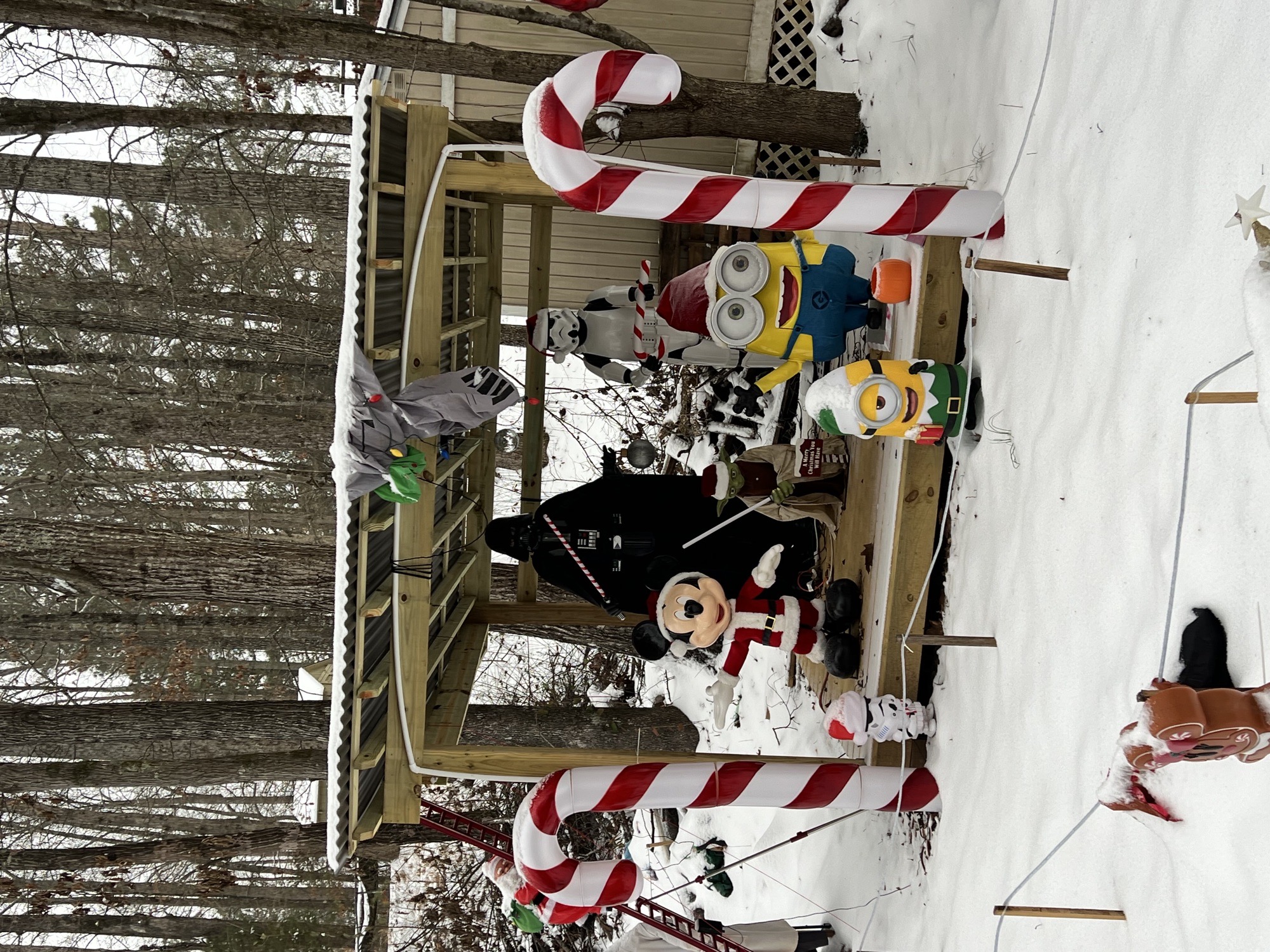 Drummond’s Wacky Walk Thru Christmas Display, Christmas lights in Dallas, GA (photo 4)