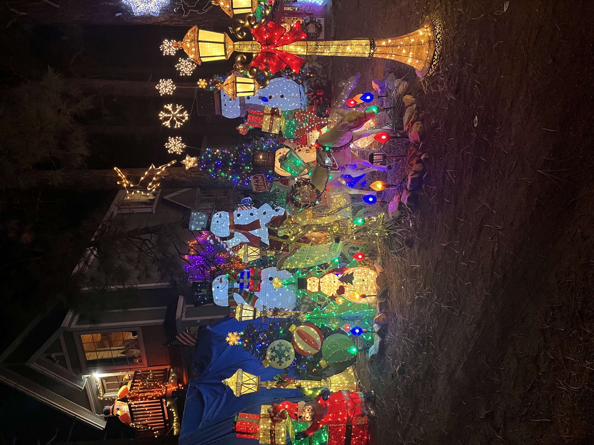 Christmas Castle, Christmas lights in Big Bear City, CA (photo 3)