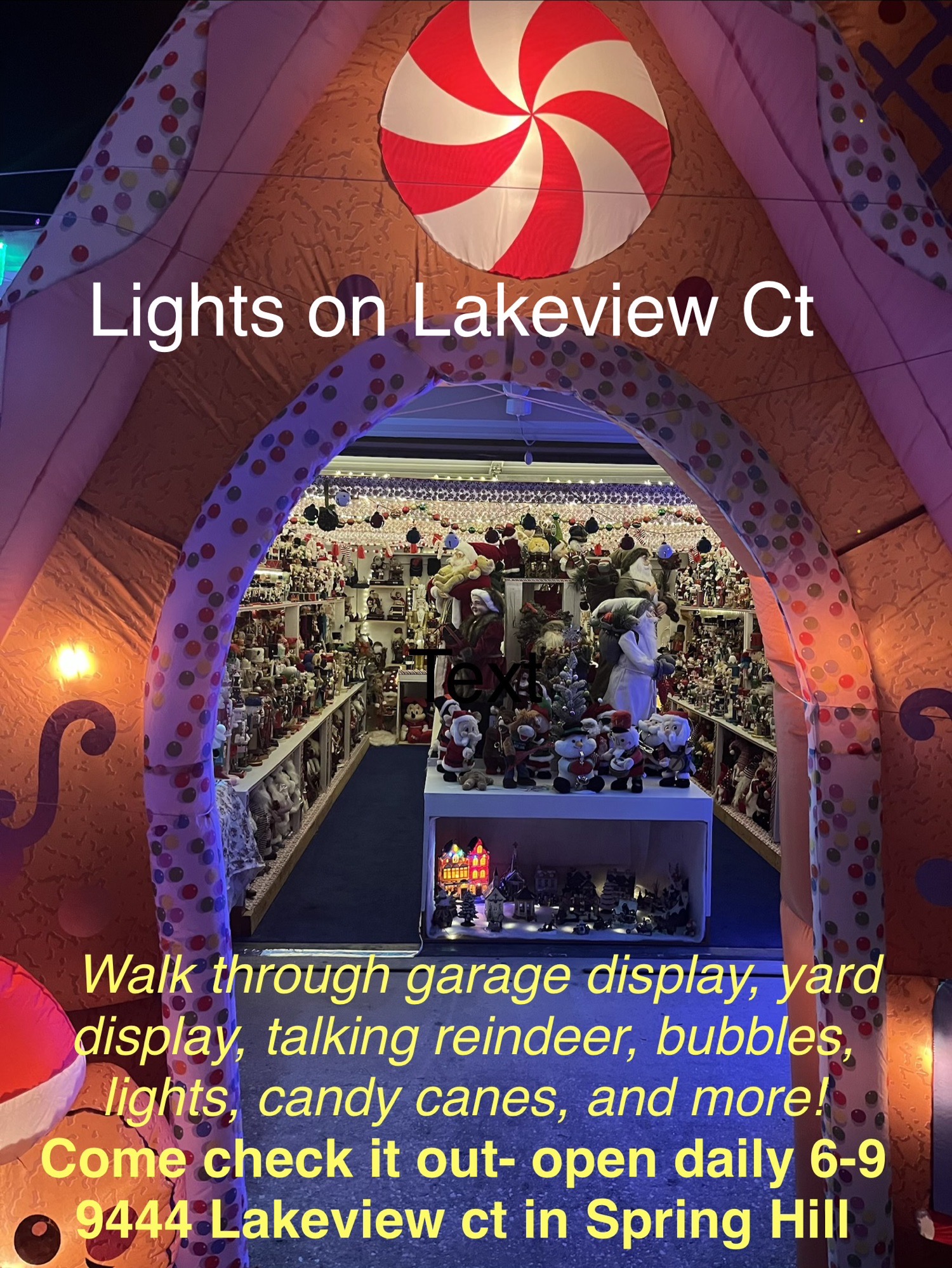 Lakeview Ct Lights, Christmas lights in Spring Hill, FL (photo 1)