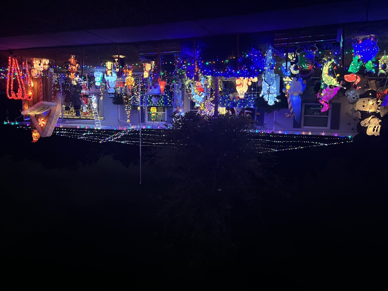 Lakeview Ct Lights, Christmas lights in Spring Hill, FL (photo 2)