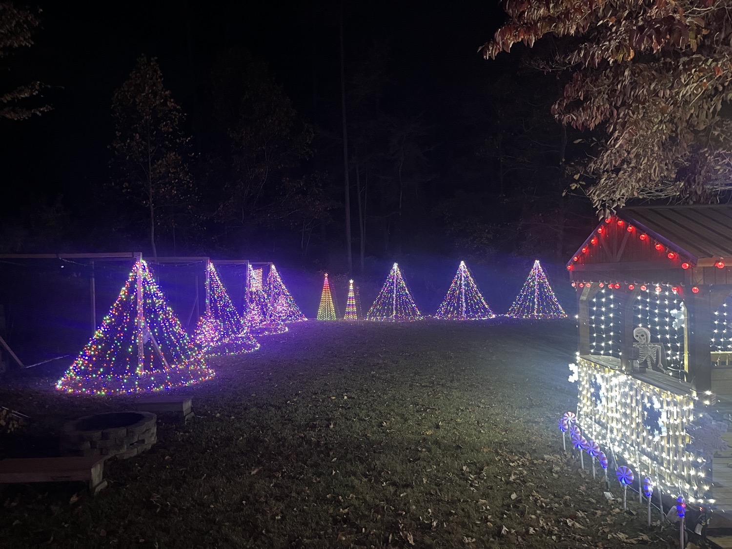 Coyne Family Christmas House, Christmas lights in Gloucester, VA (photo 3)