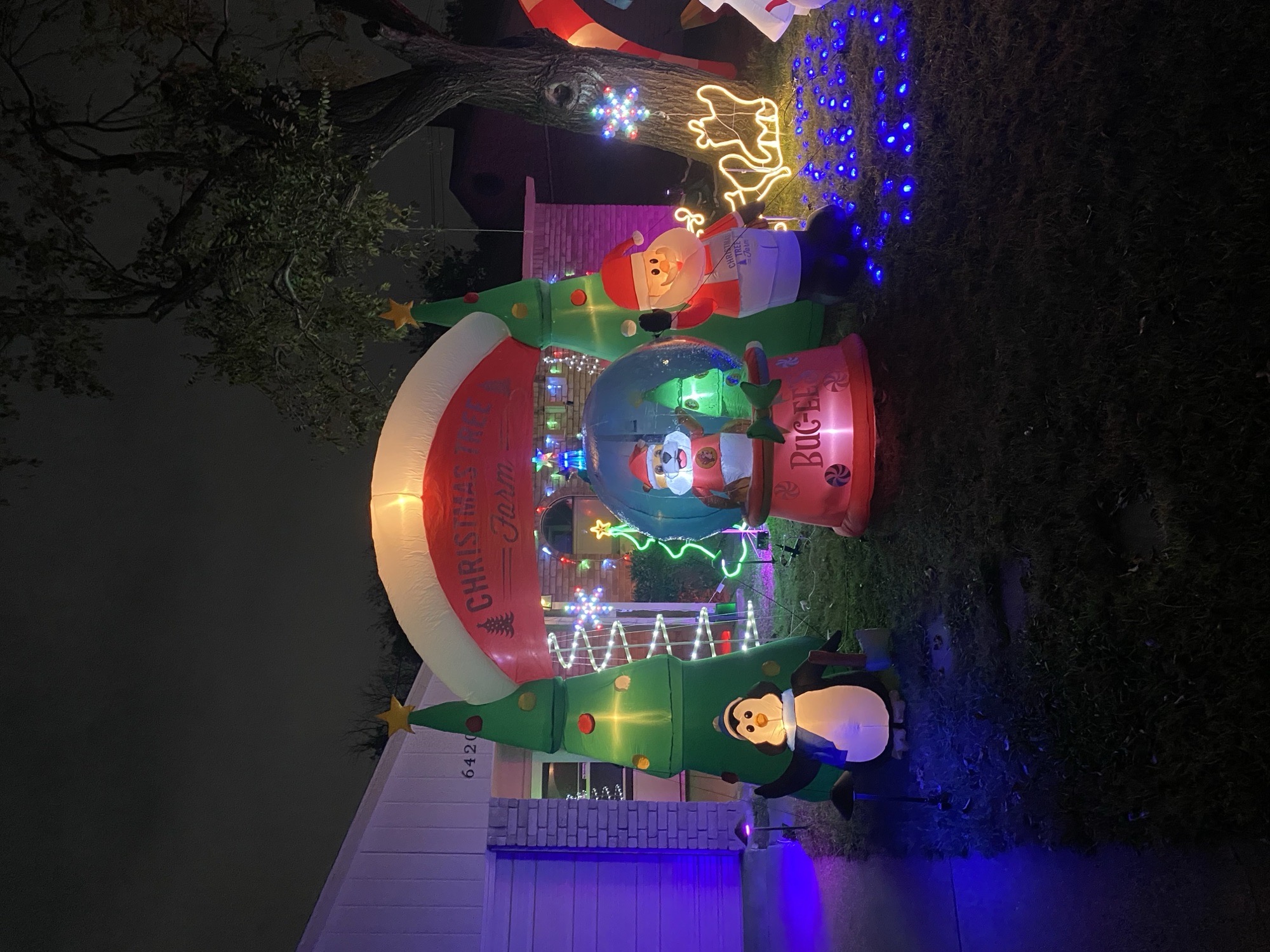 Mixed Of Lights And Inflatables, Christmas lights in north Richland hills, TX (photo 1)