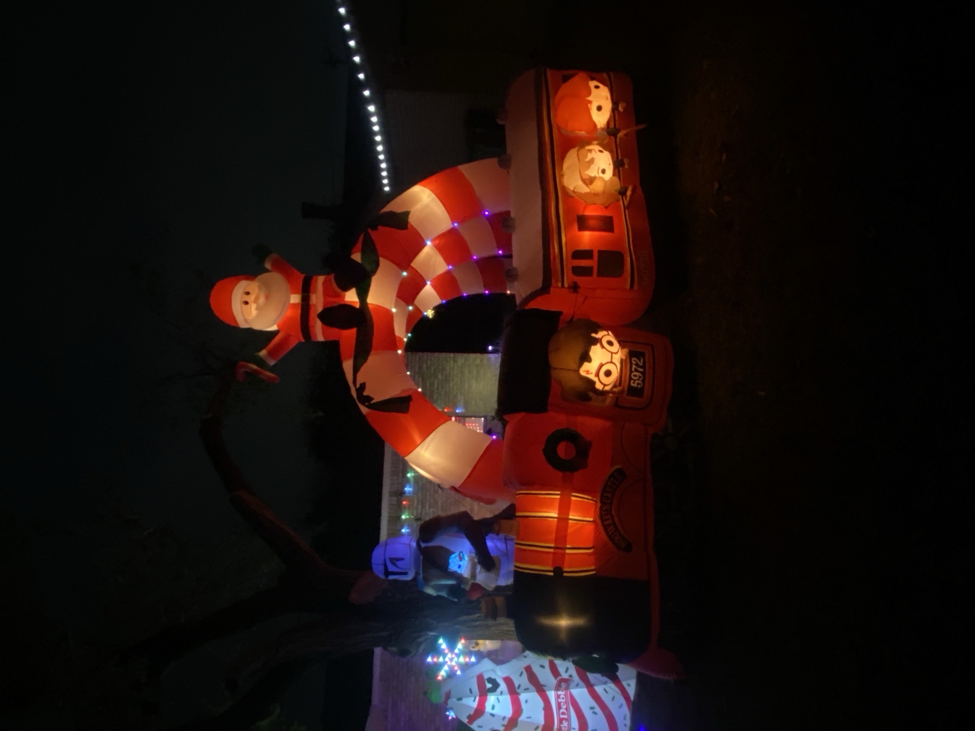 Mixed Of Lights And Inflatables, Christmas lights in north Richland hills, TX (photo 2)