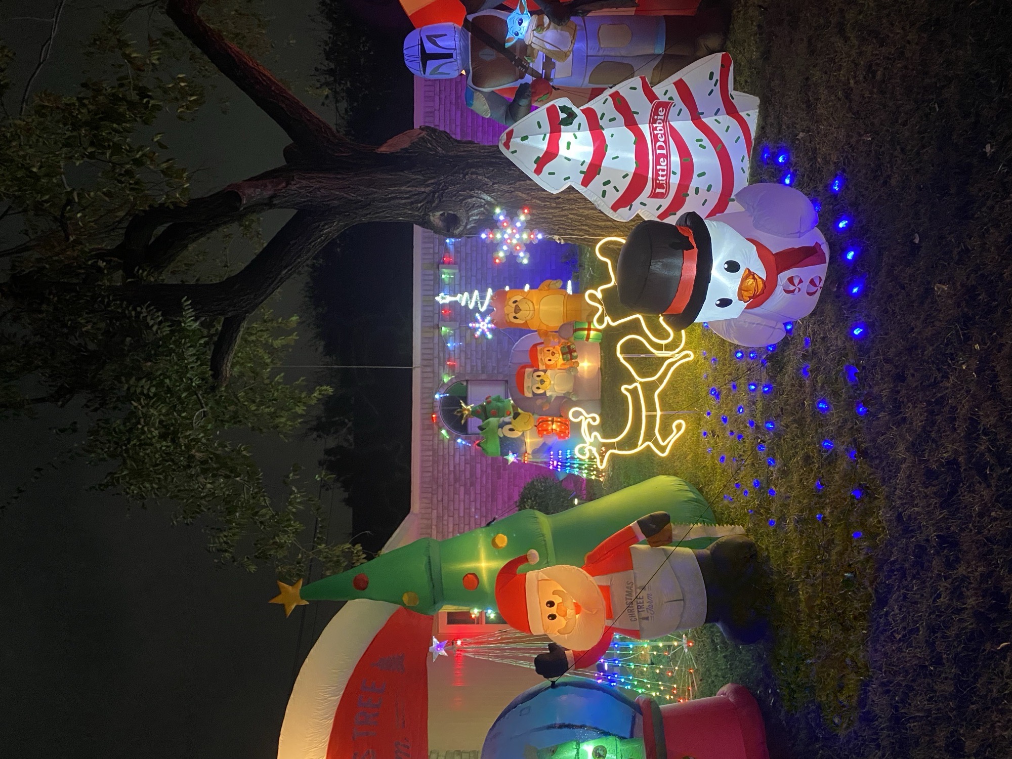 Mixed Of Lights And Inflatables, Christmas lights in north Richland hills, TX (photo 3)