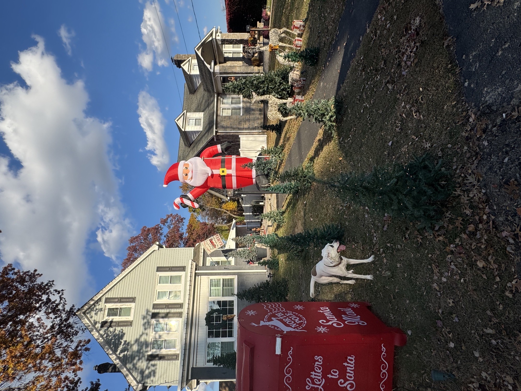 Christmas Tree Farm, Christmas lights in Philadelphia, PA (photo 1)