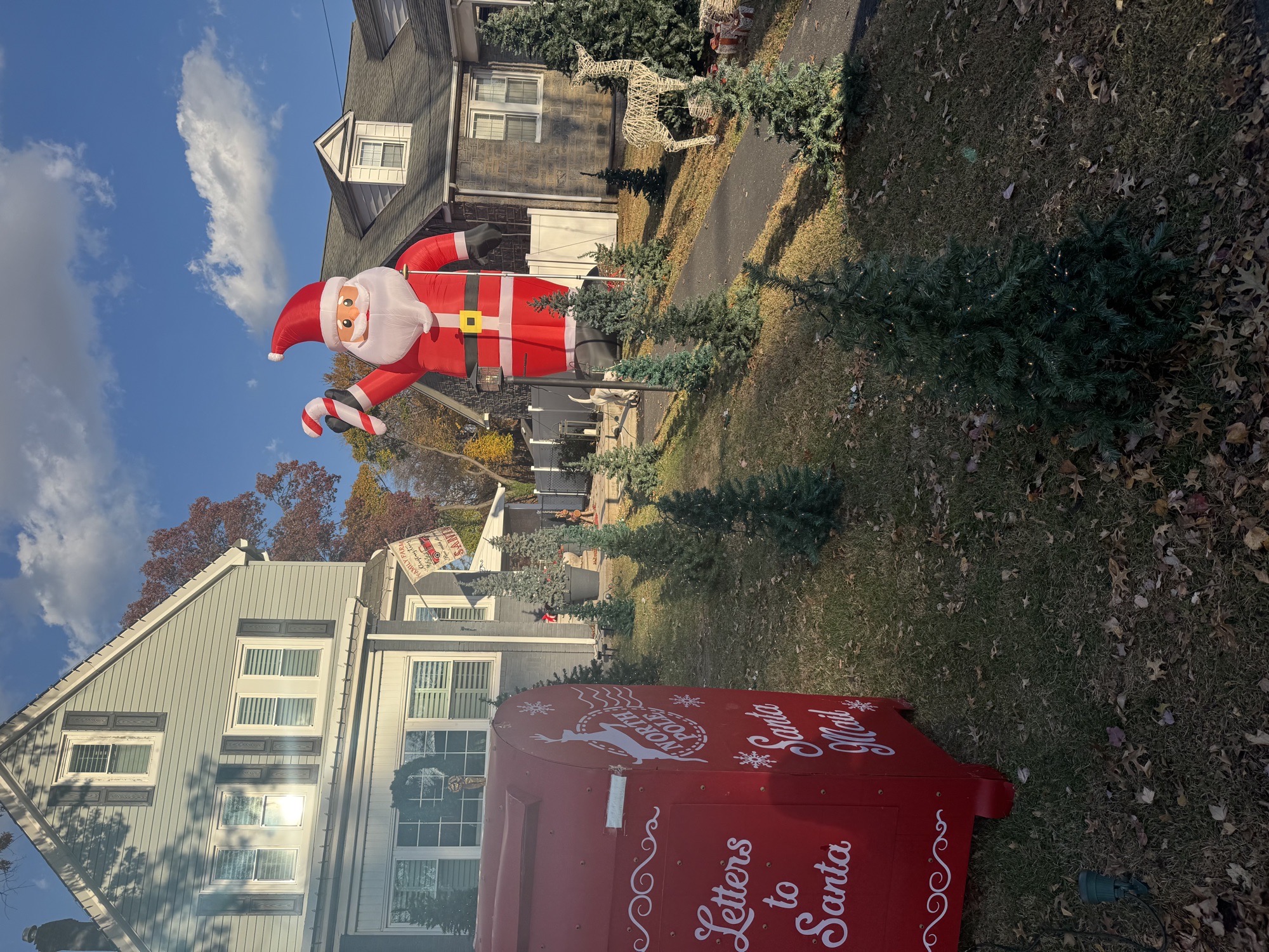 Christmas Tree Farm, Christmas lights in Philadelphia, PA (photo 2)