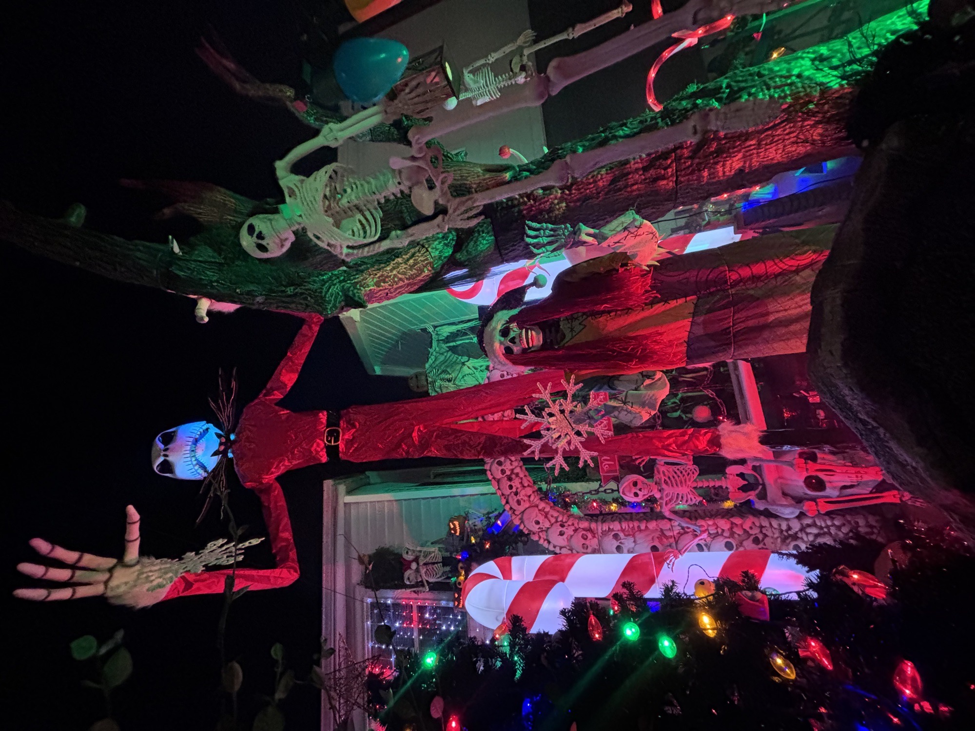 The Skeleton House, Christmas lights in Houston, TX (photo 1)