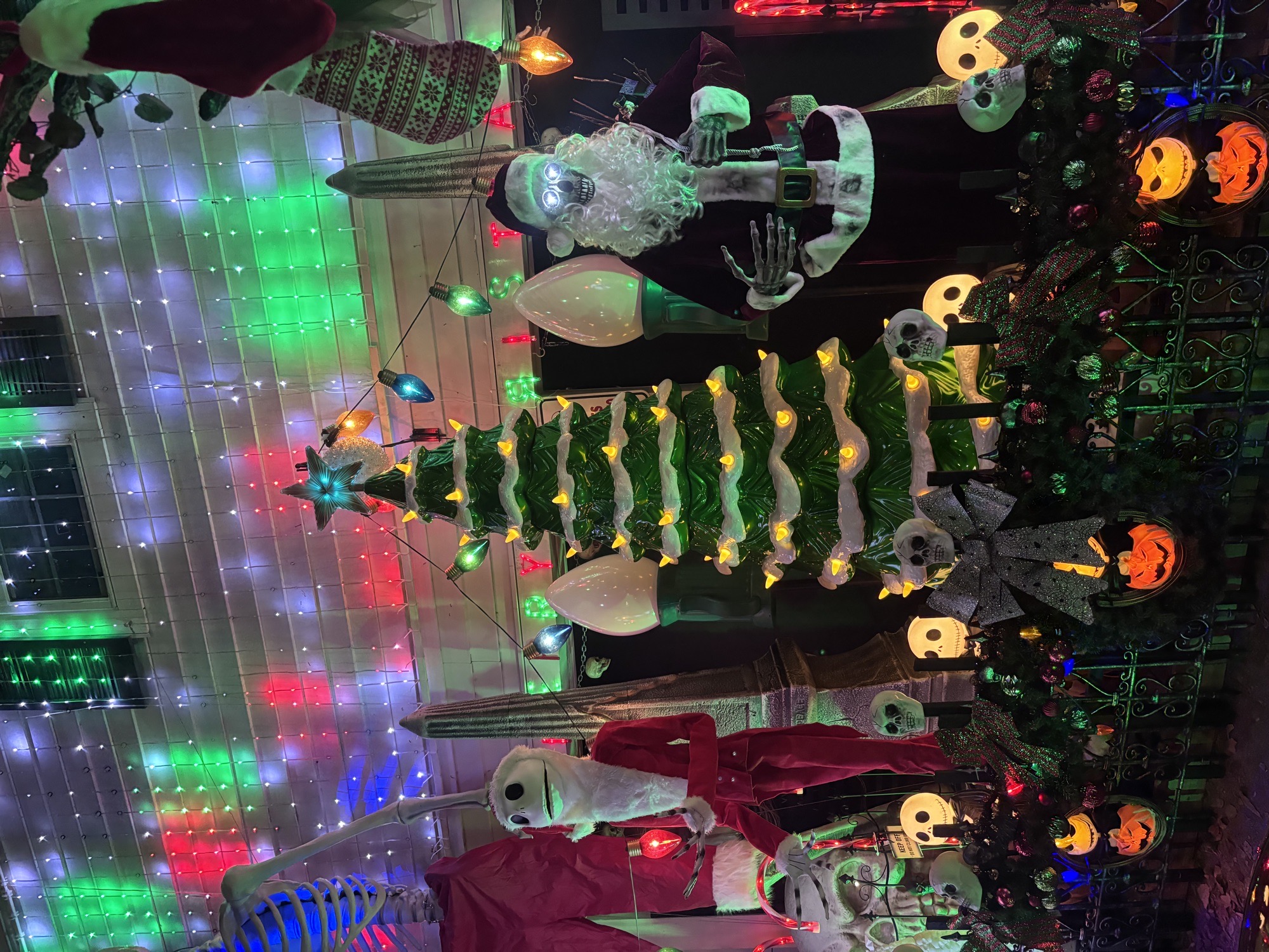 The Skeleton House, Christmas lights in Houston, TX (photo 3)