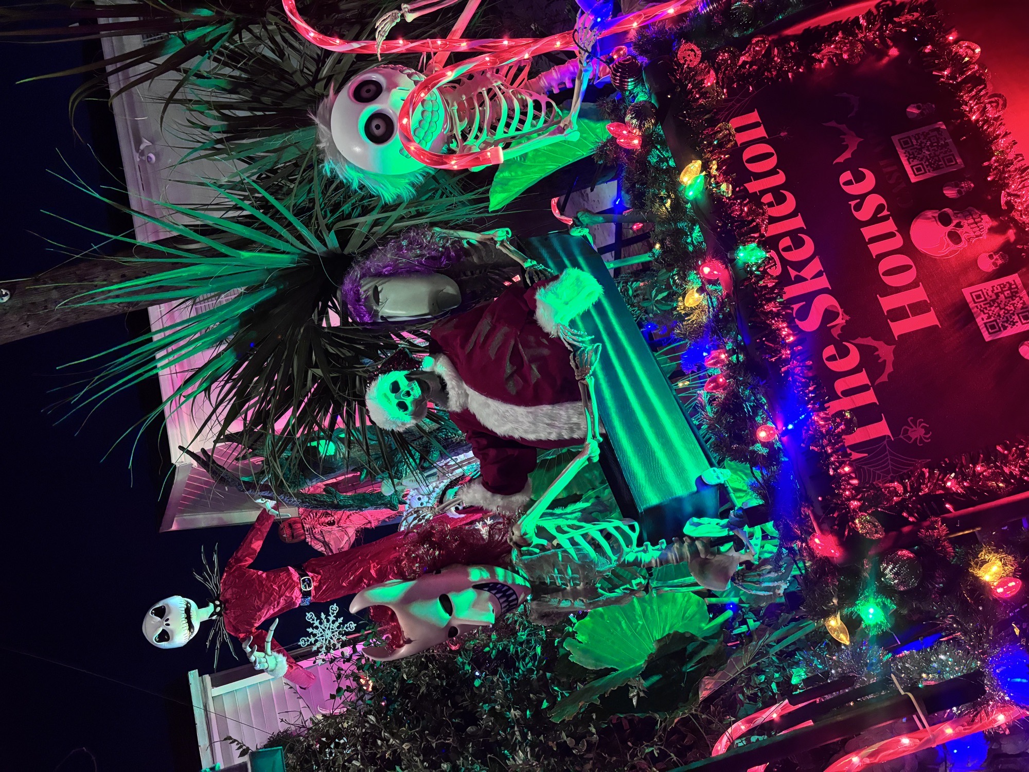 The Skeleton House, Christmas lights in Houston, TX (photo 4)