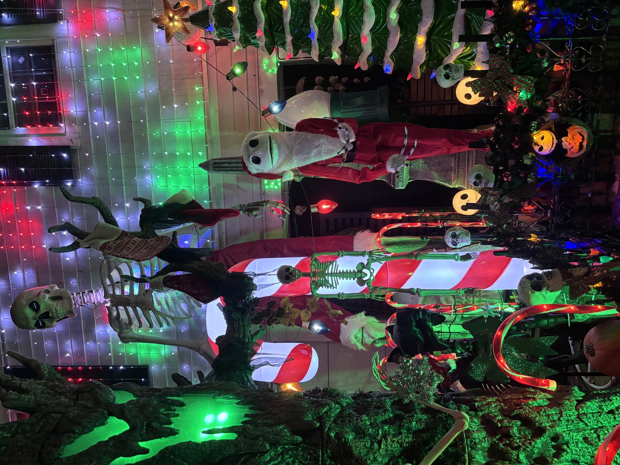 The Skeleton House, Christmas lights in Houston, TX (photo 5)