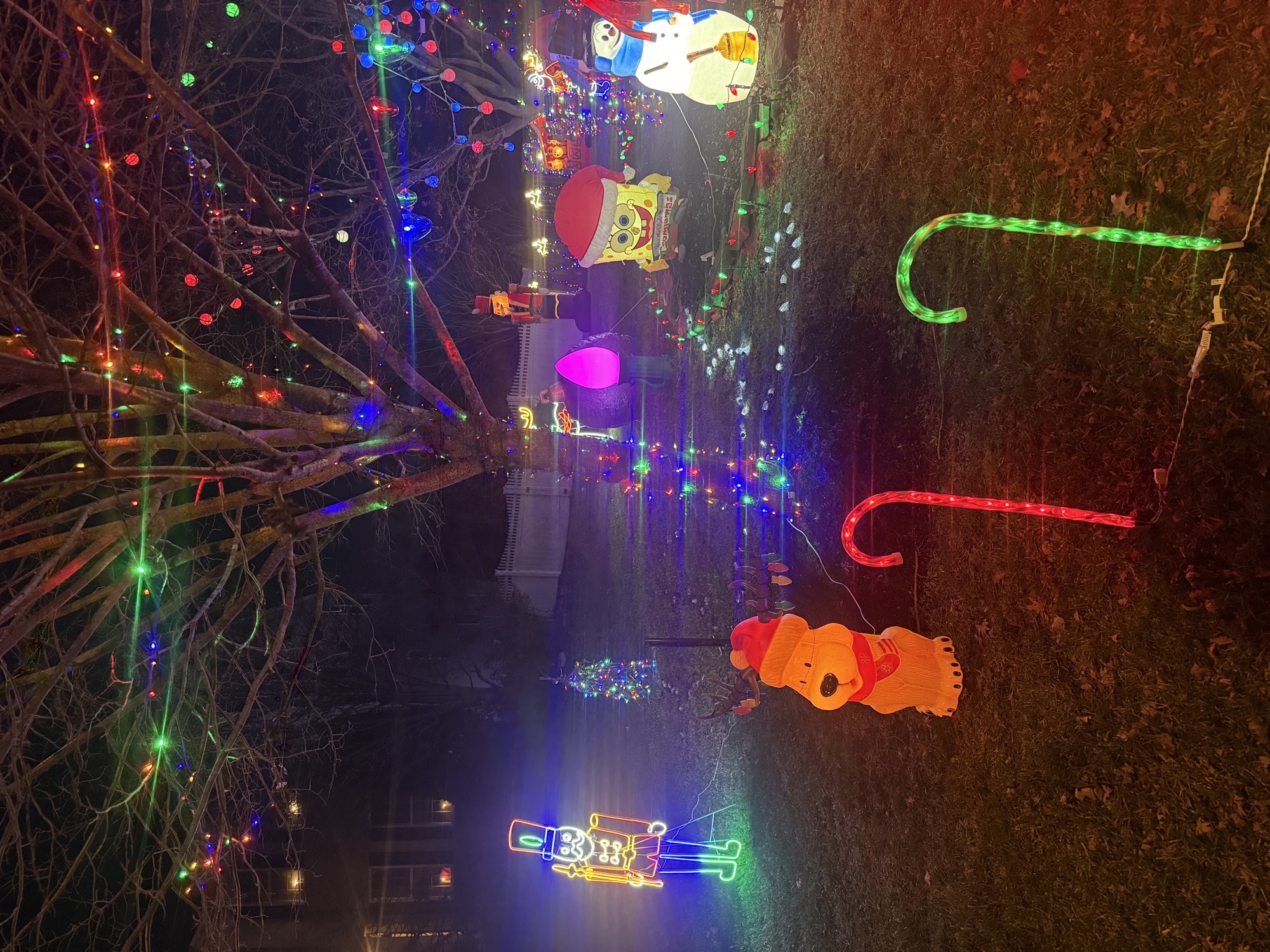 Lights On Edgefield Ct., Christmas lights in Swedesboro, NJ (photo 2)