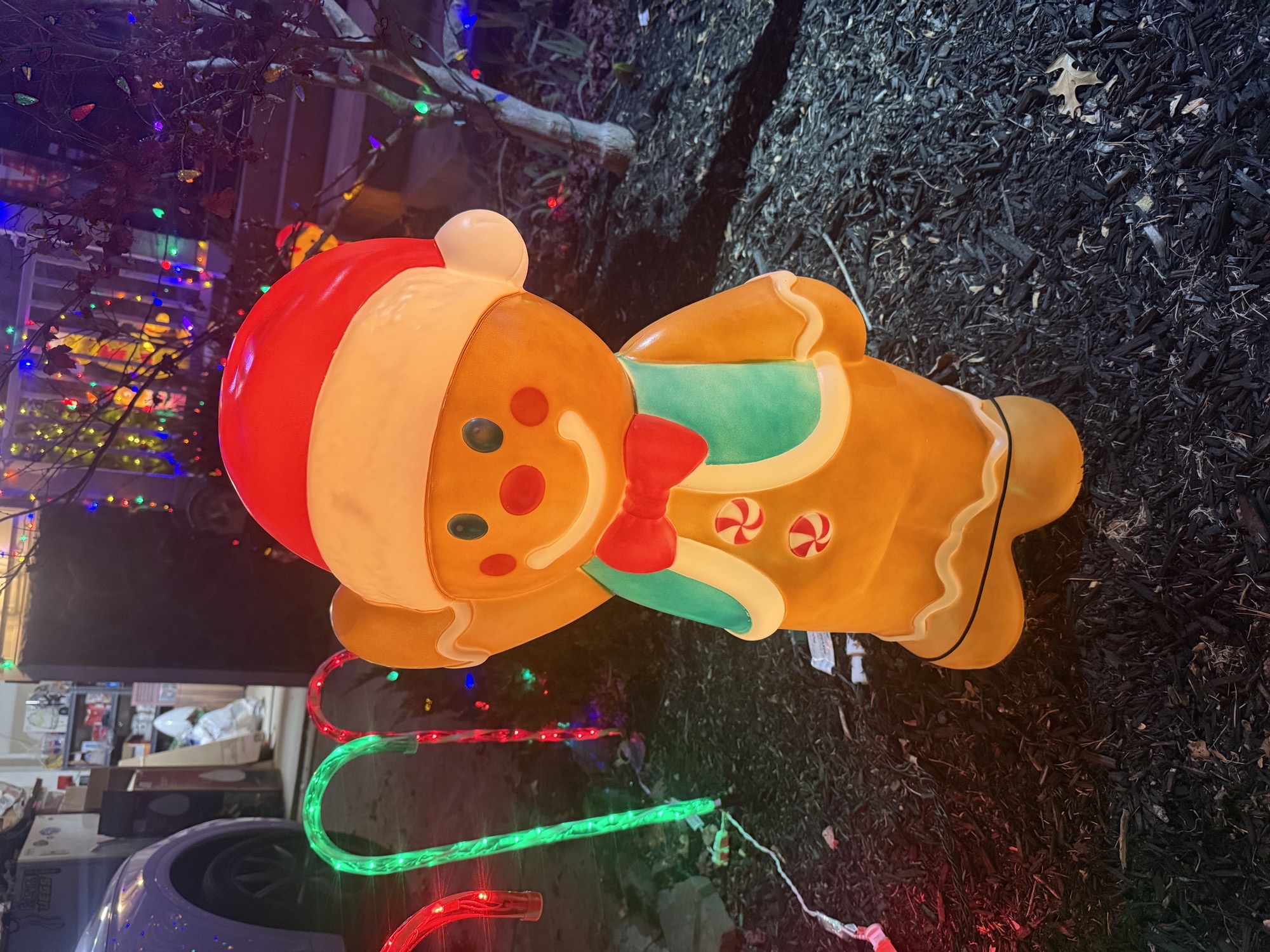 Lights On Edgefield Ct., Christmas lights in Swedesboro, NJ (photo 4)