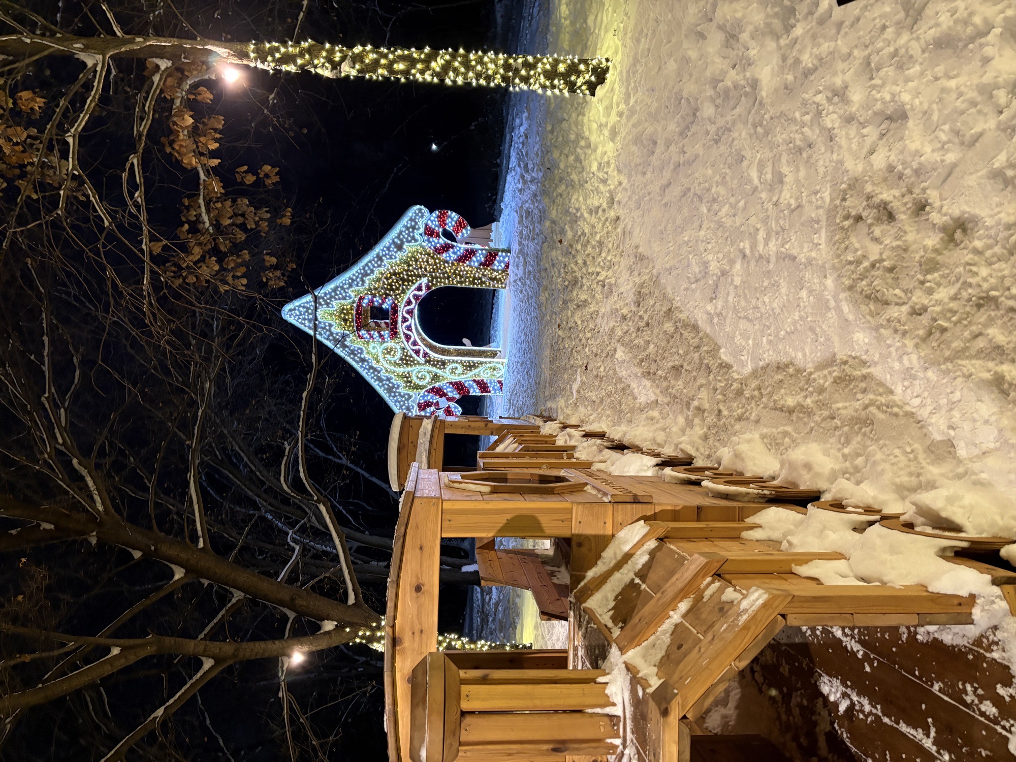Miracle On 86th Street (Public Park), Christmas lights in Urbandale, IA (photo 1)