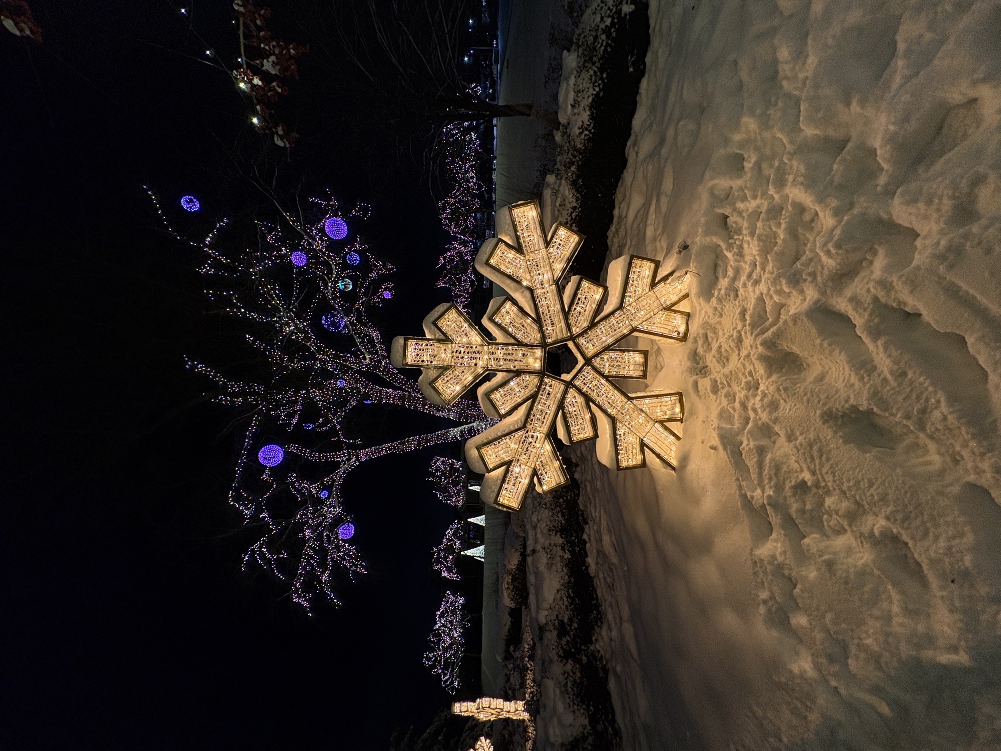 Miracle On 86th Street (Public Park), Christmas lights in Urbandale, IA (photo 3)