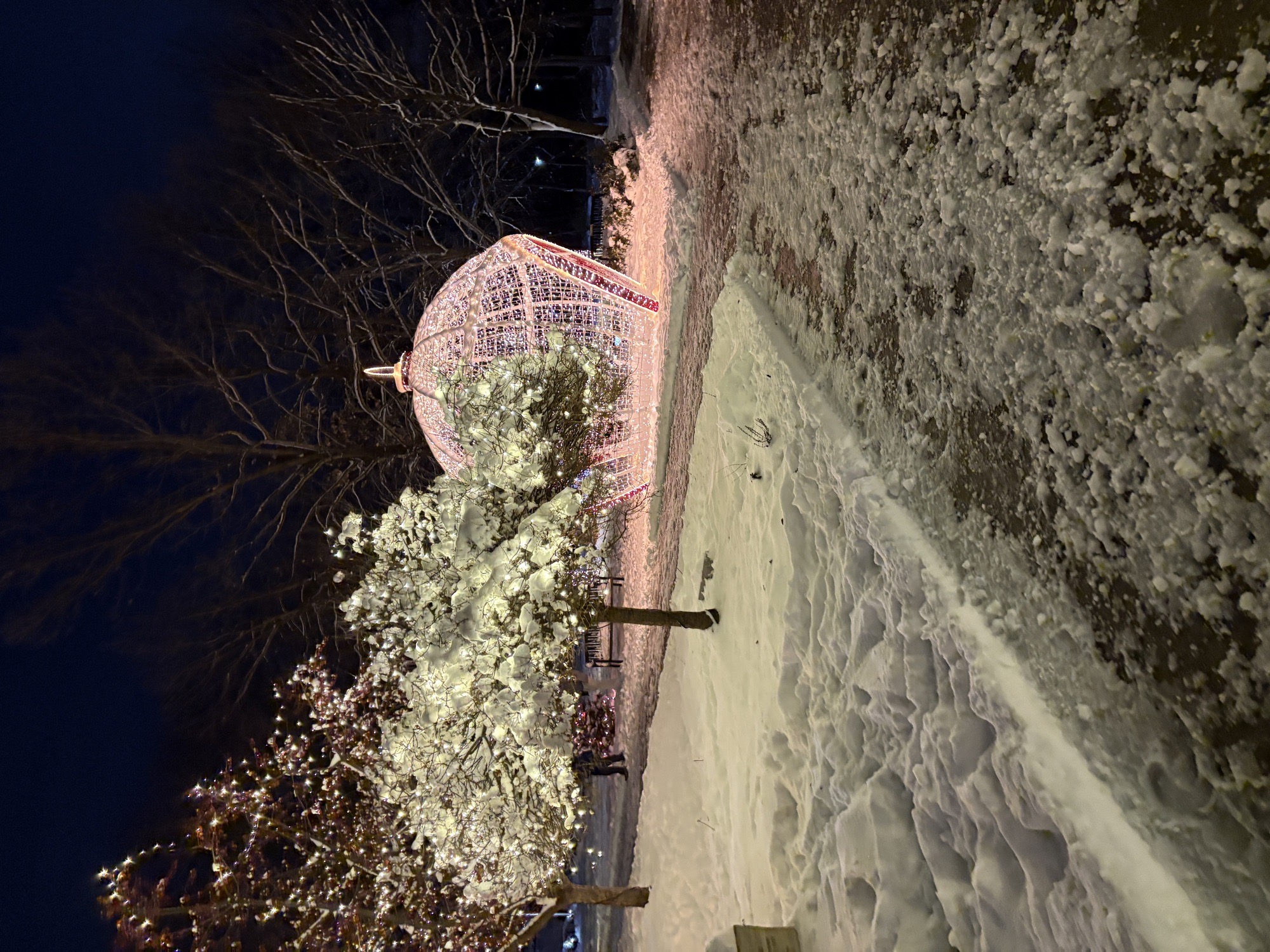 Miracle On 86th Street (Public Park), Christmas lights in Urbandale, IA (photo 4)