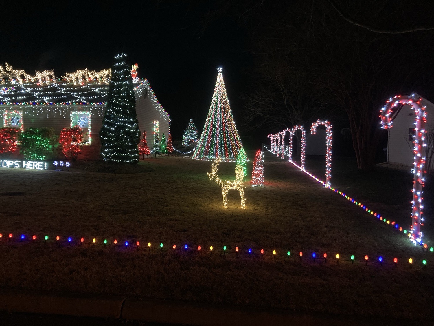 Cullens Candy cane forest, Christmas lights in Williamstown, NJ (photo 3)