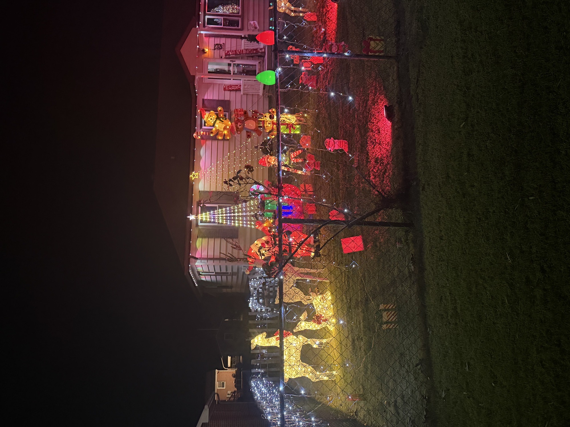 North Pole Winter Wonderland, Christmas lights in Chester, VA (photo 2)